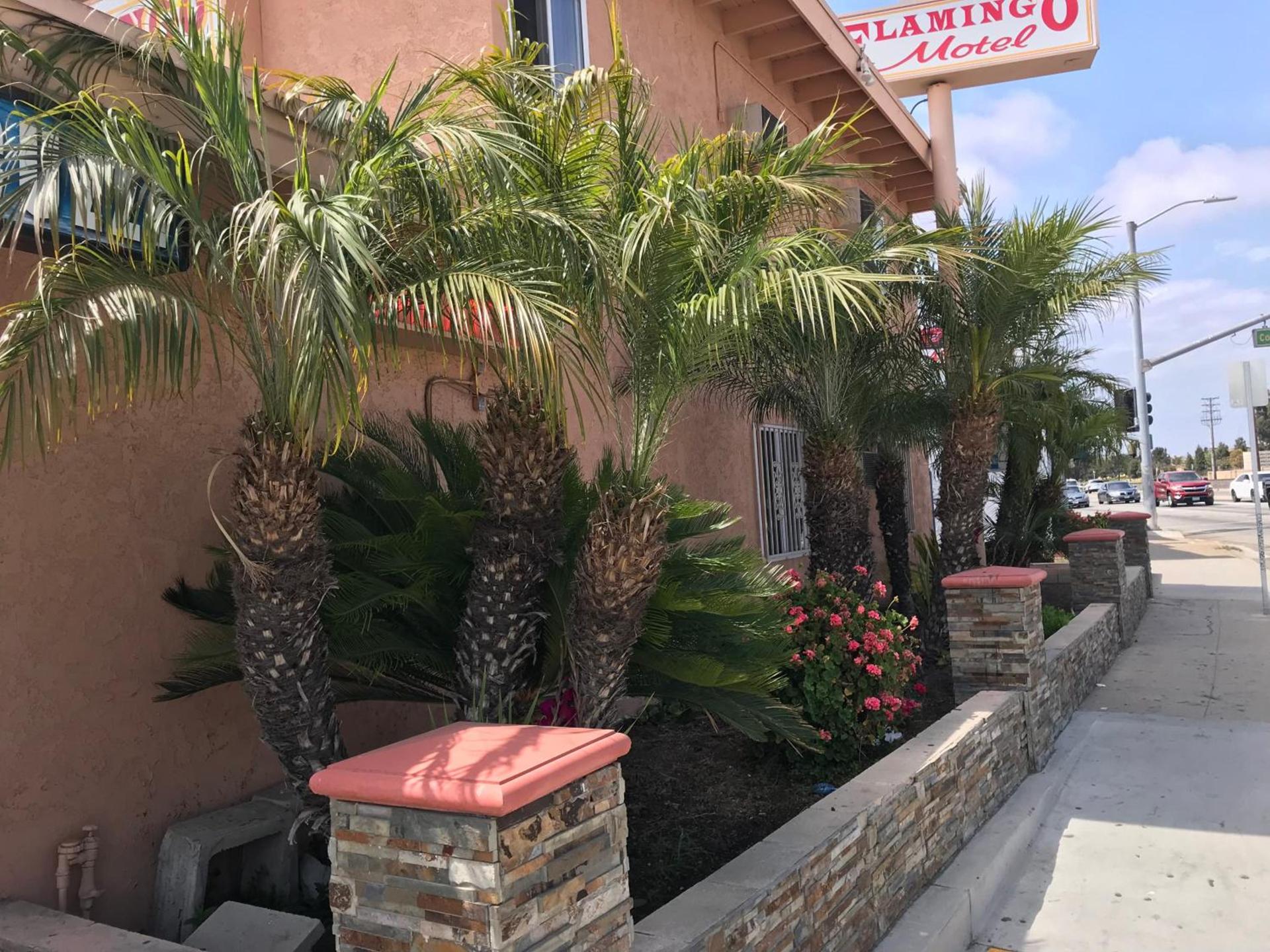 Flamingo Motel Oxnard photo 40