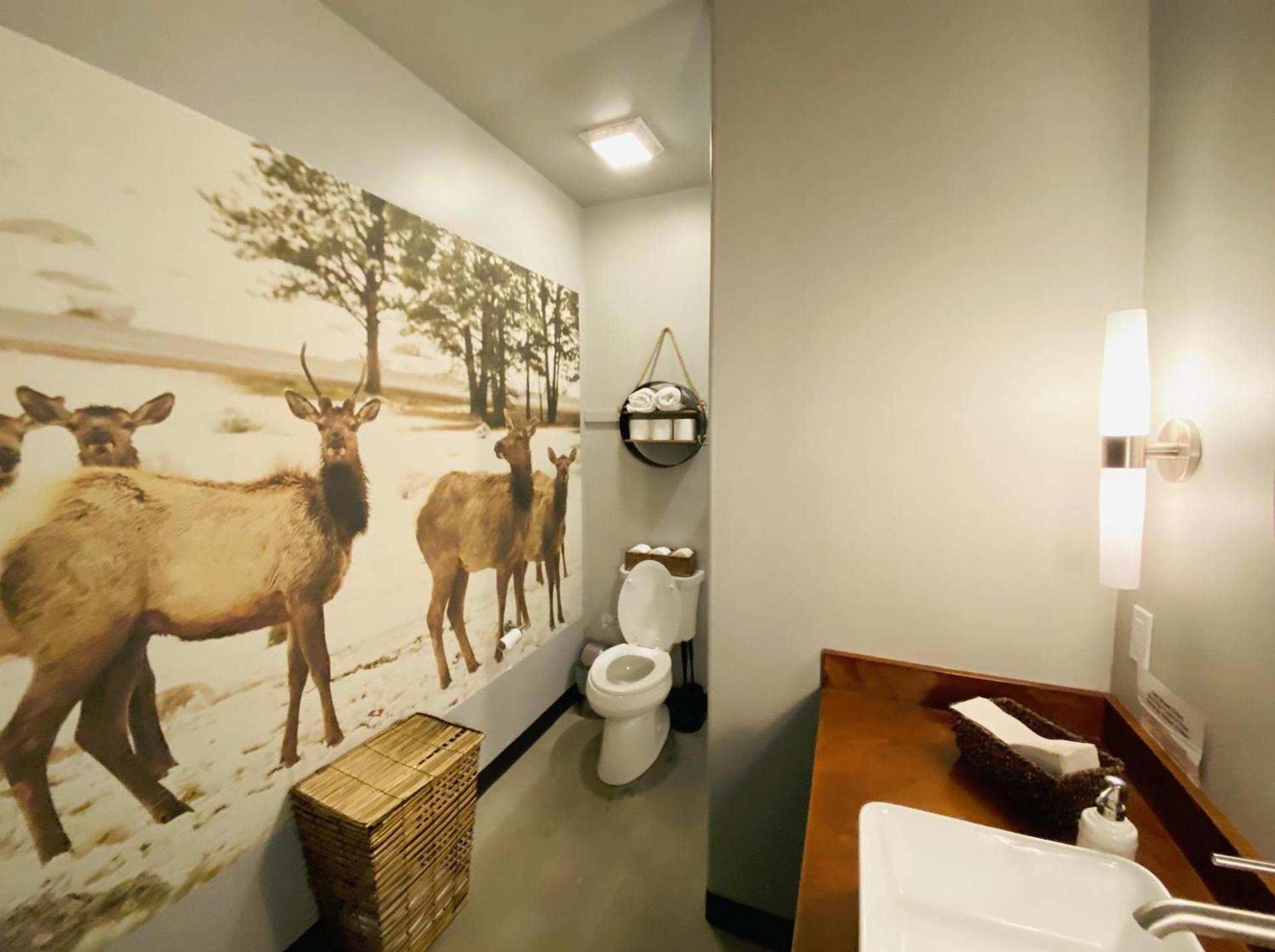 Dreamcatcher Tipi Hotel photo 4