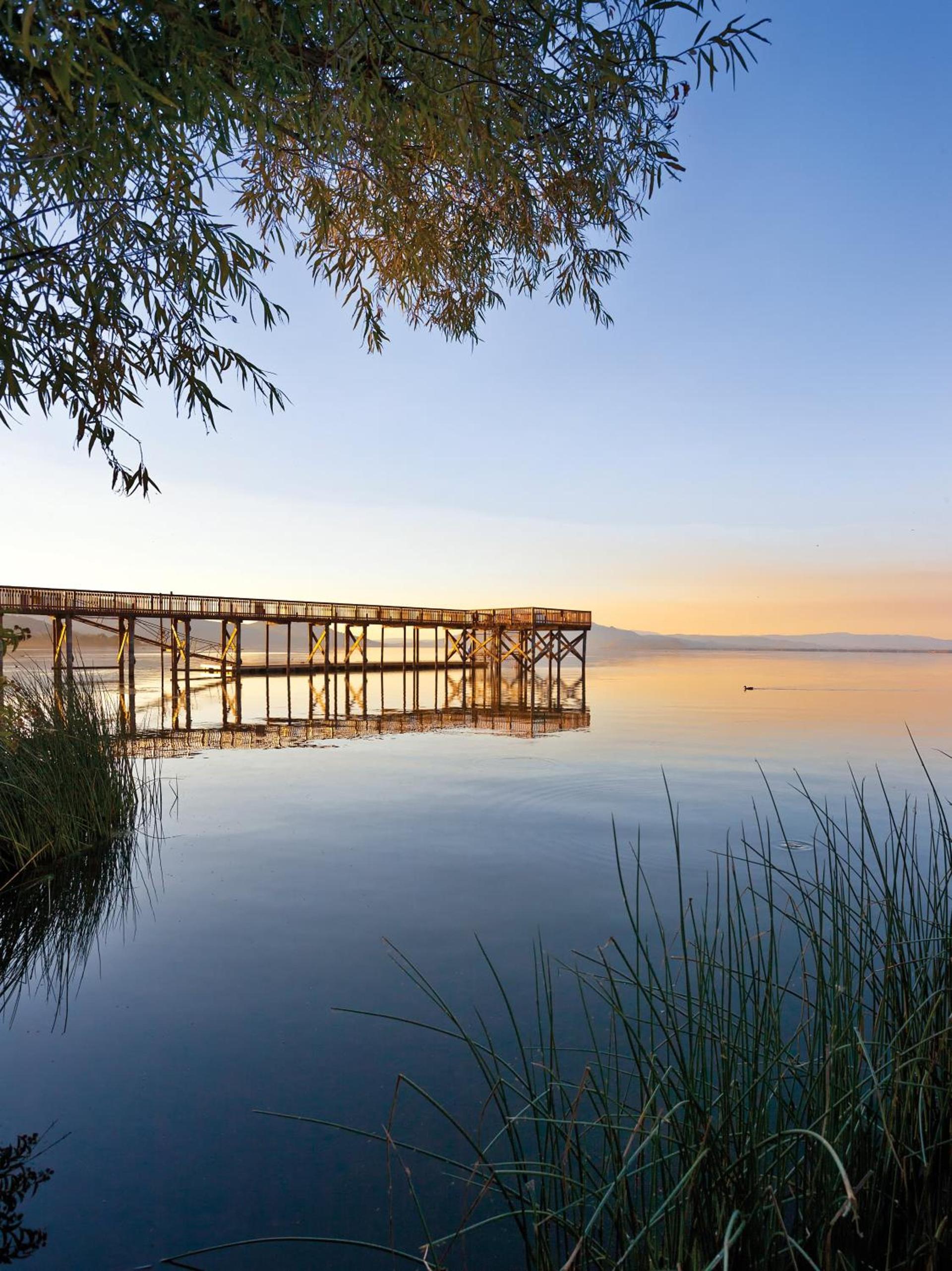 WorldMark Clear Lake photo 45