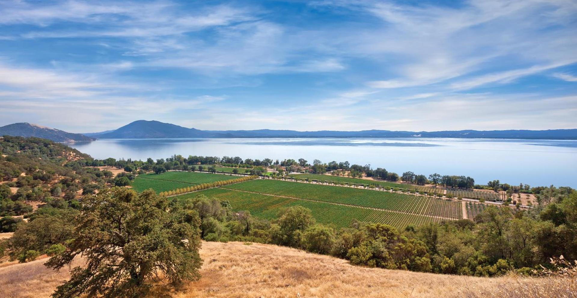 WorldMark Clear Lake photo 5