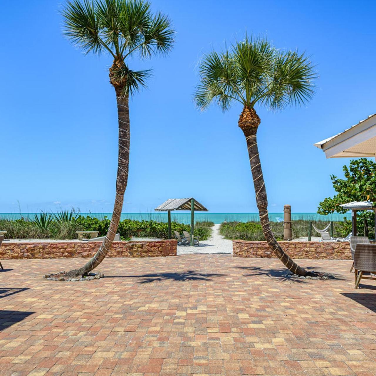 Suntan Terrace photo 49