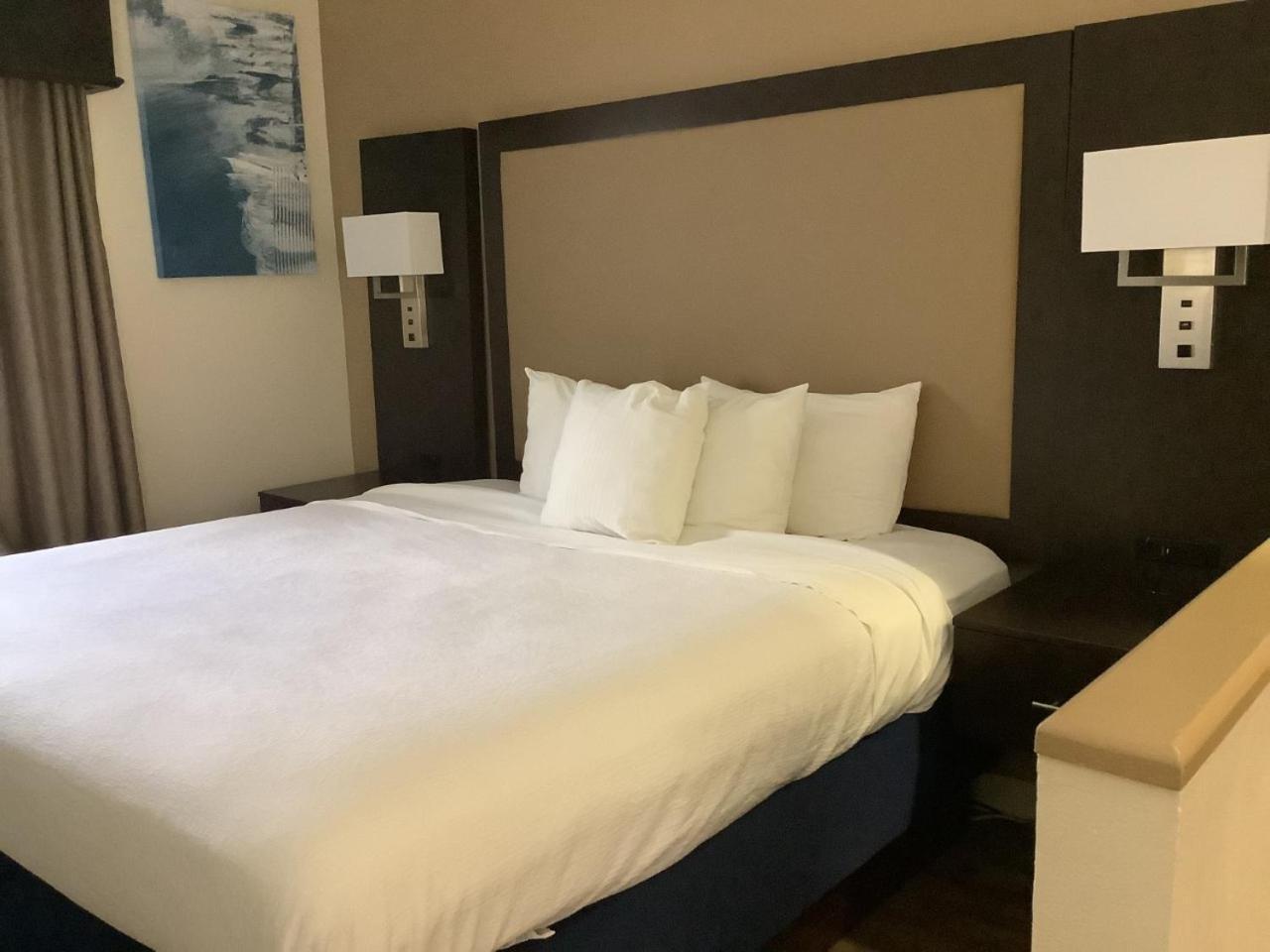 Best Western Plus Madison photo 24