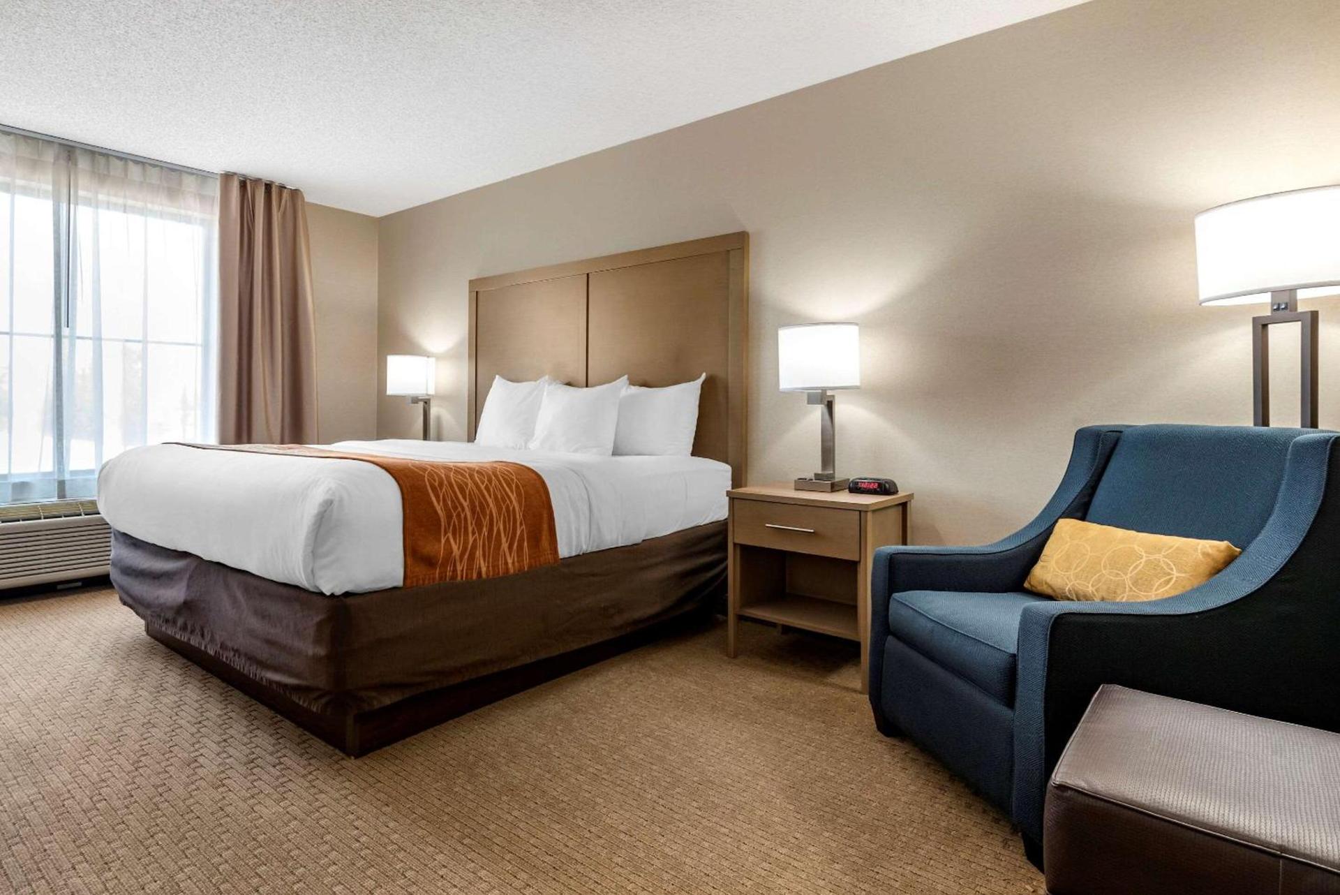 Comfort Inn & Suites Farmington - Victor photo 5