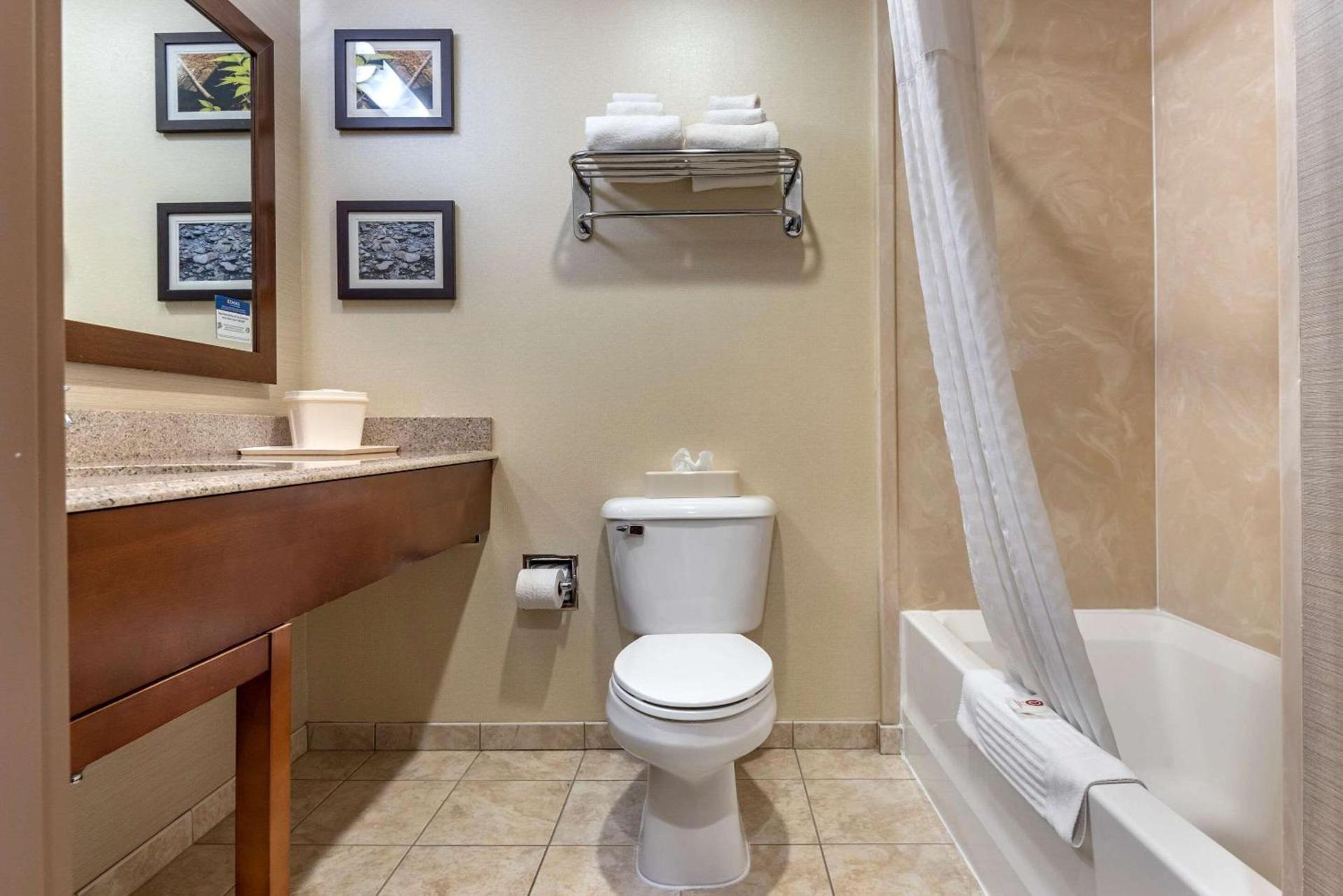 Comfort Inn & Suites Farmington - Victor photo 13