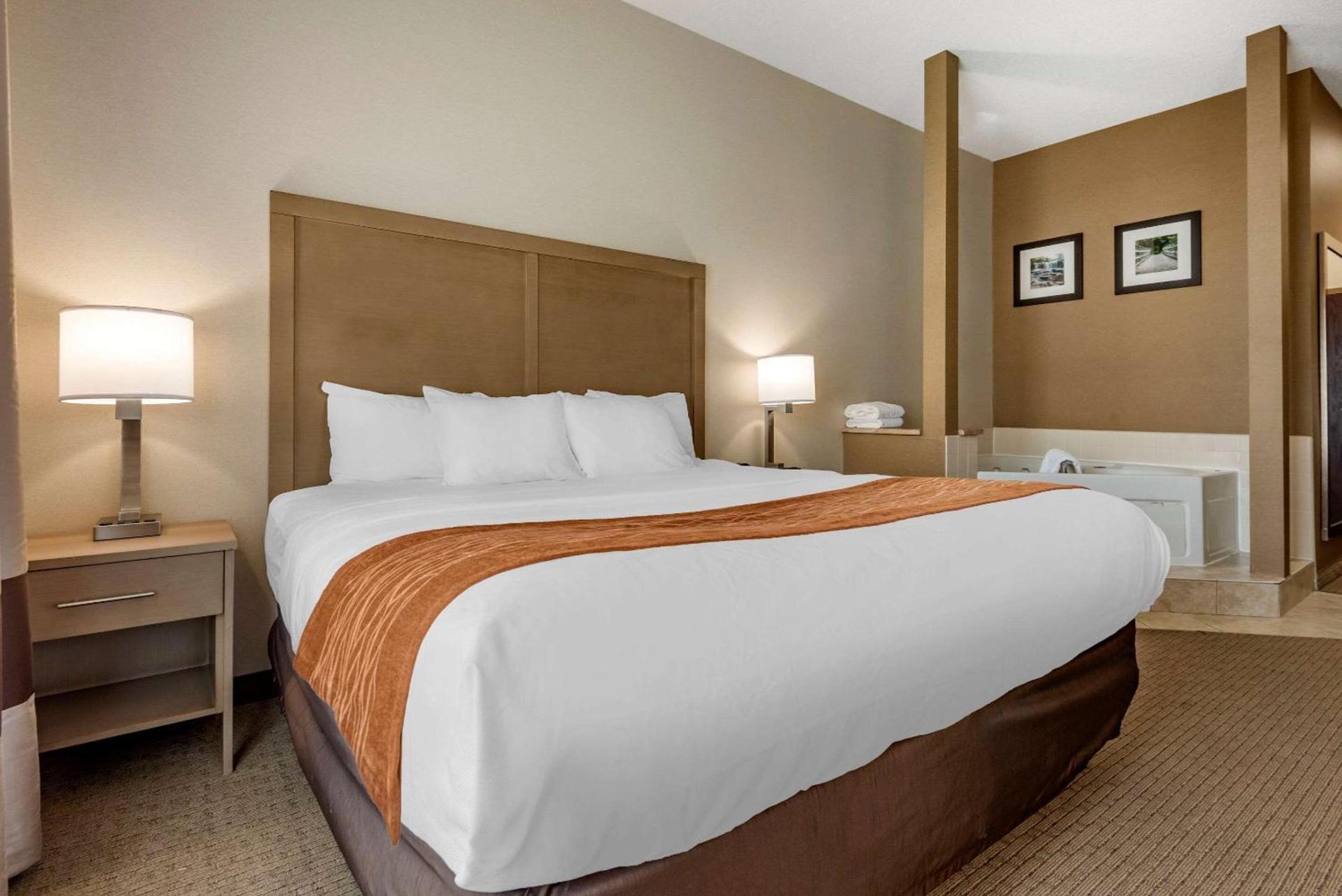 Comfort Inn & Suites Farmington - Victor photo 17