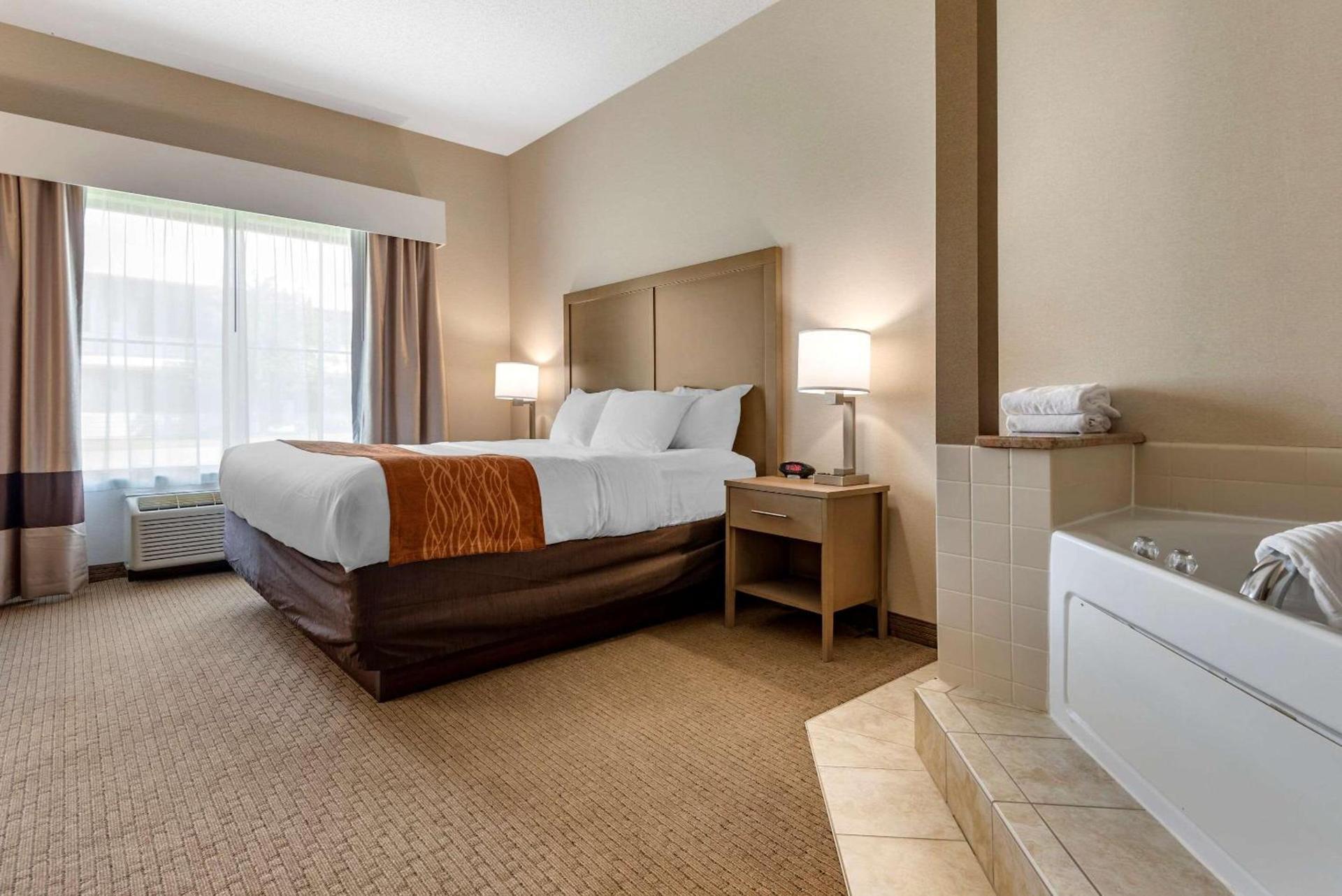 Comfort Inn & Suites Farmington - Victor photo 19
