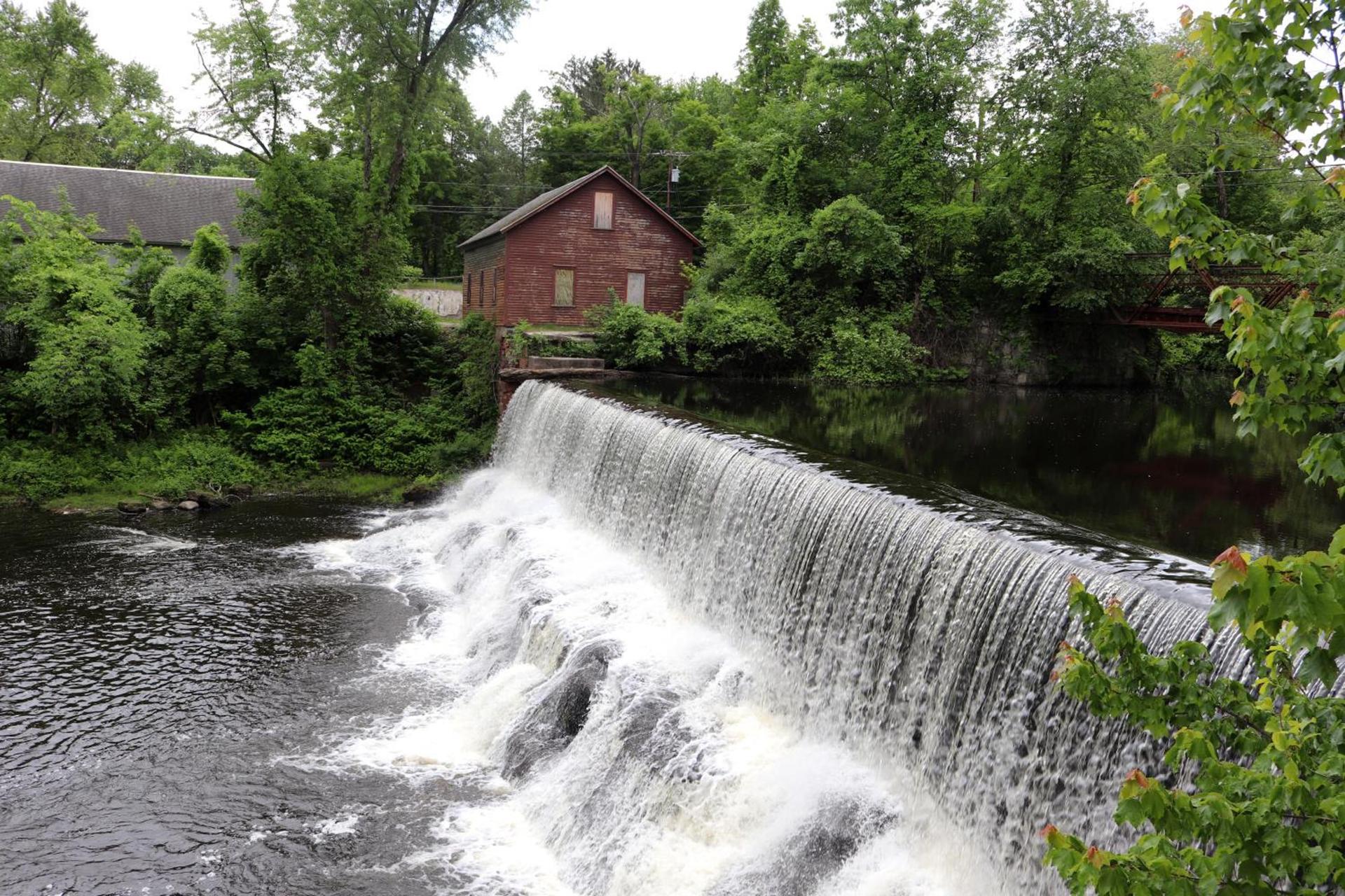 Old Mill Inn photo 12