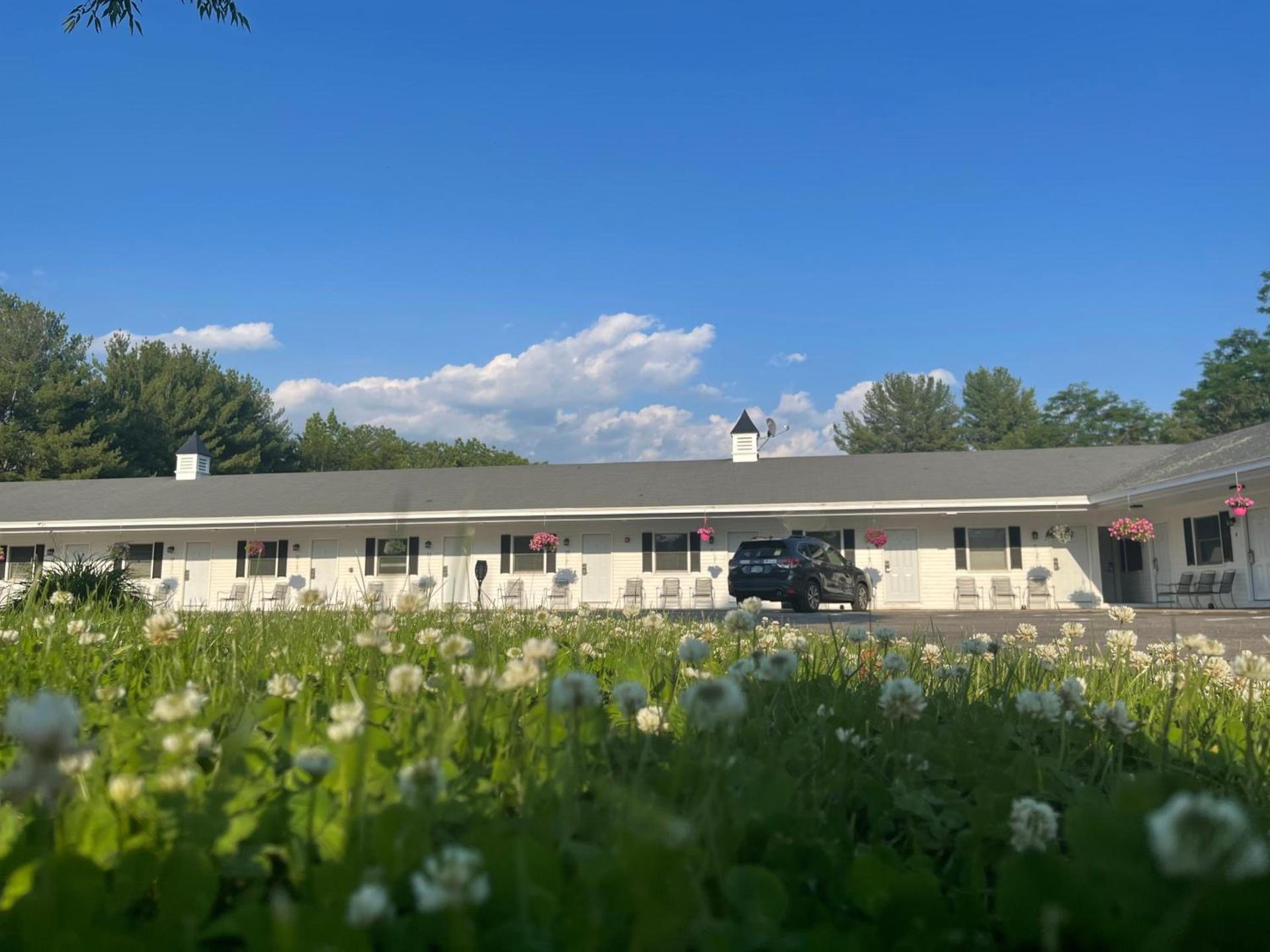 Colonial Motel photo 20