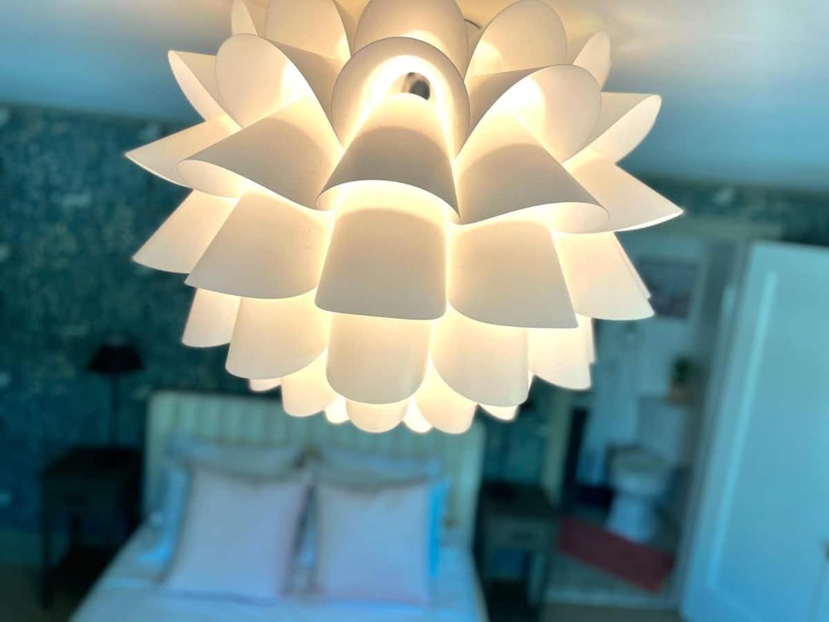 Buttonwood Boutique Hotel photo 89