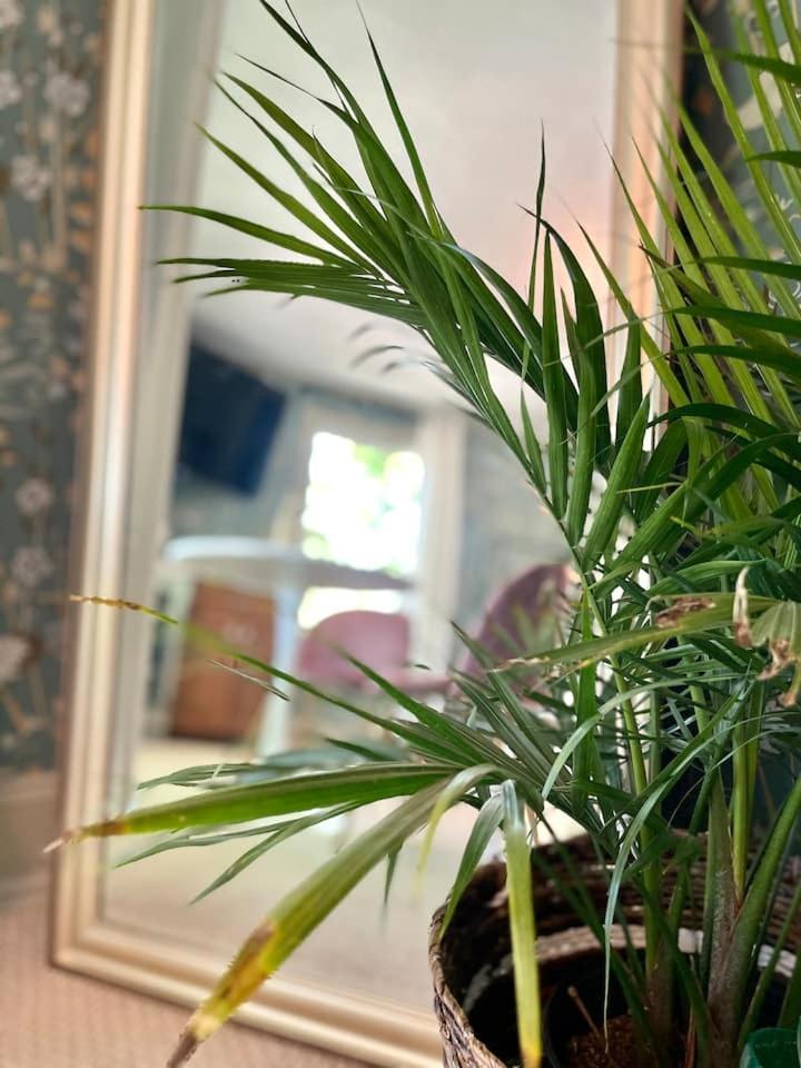 Buttonwood Boutique Hotel photo 81