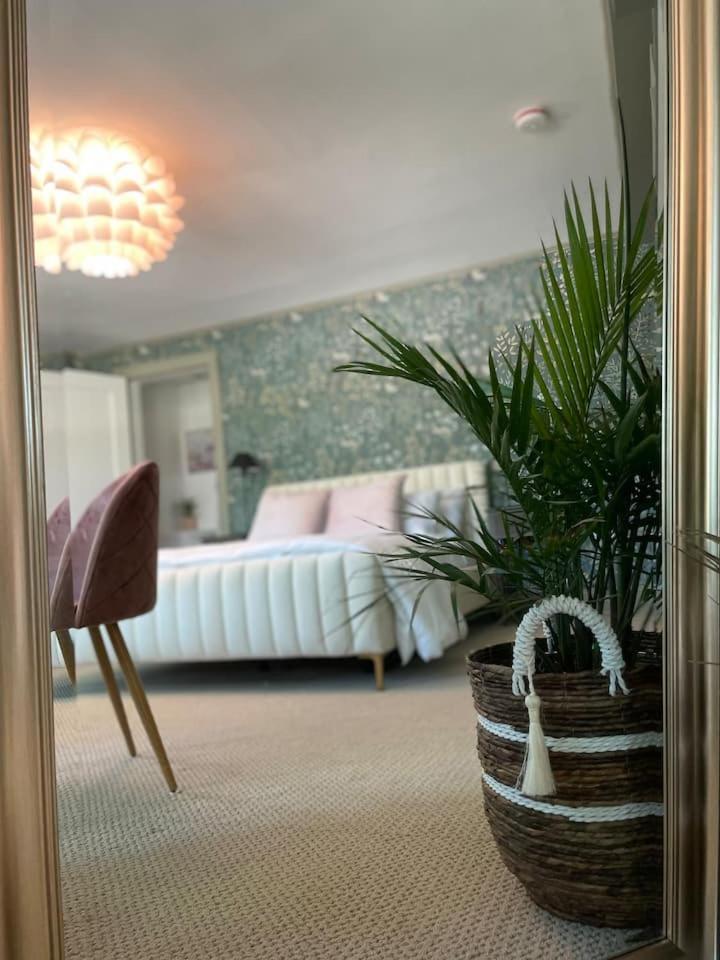 Buttonwood Boutique Hotel photo 80