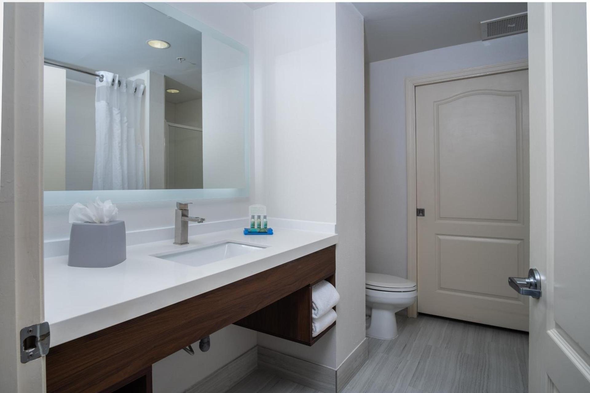 Holiday Inn Express-International Drive by IHG photo 24