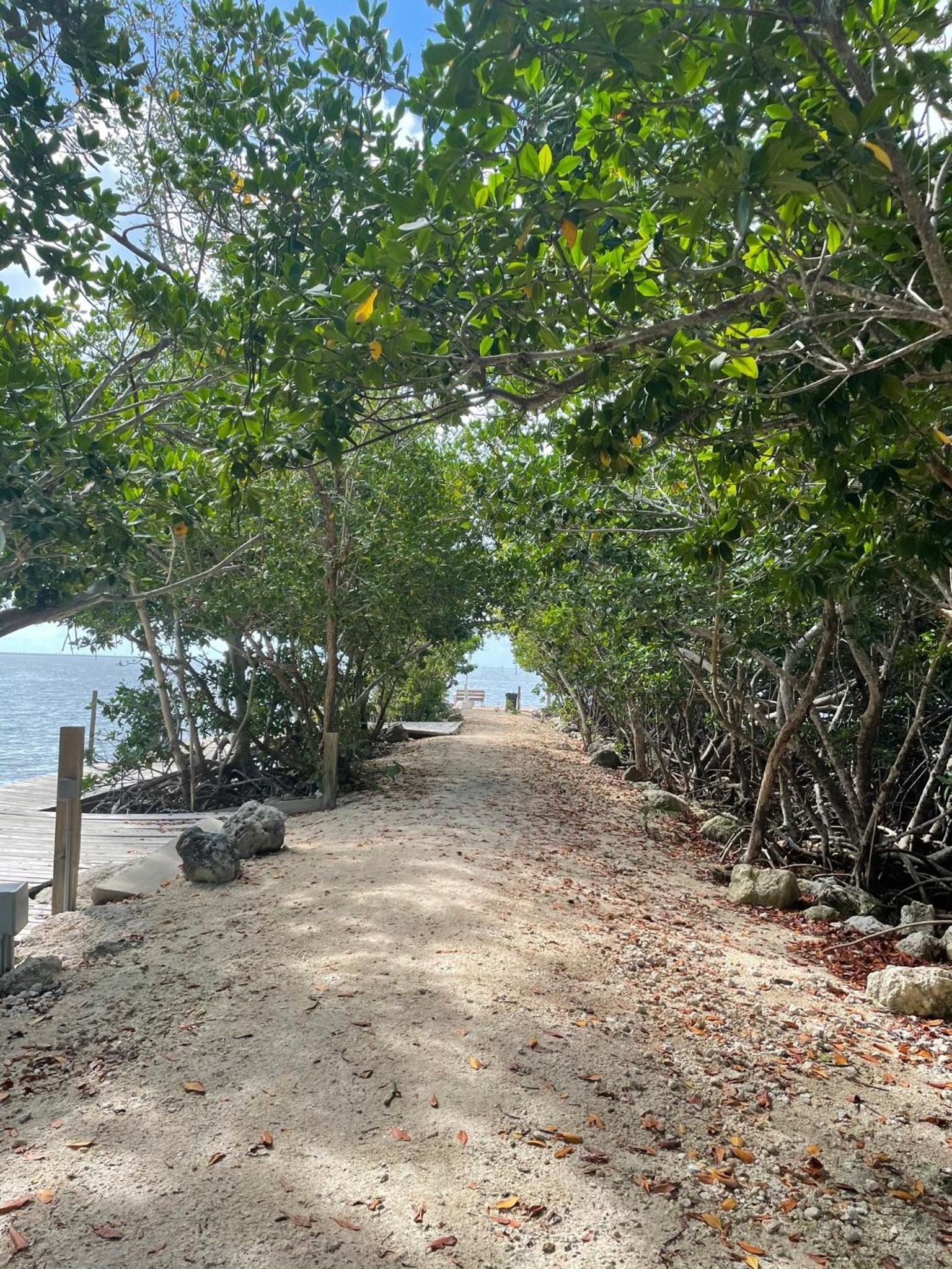 Coconut Cove Resort & Marina photo 62