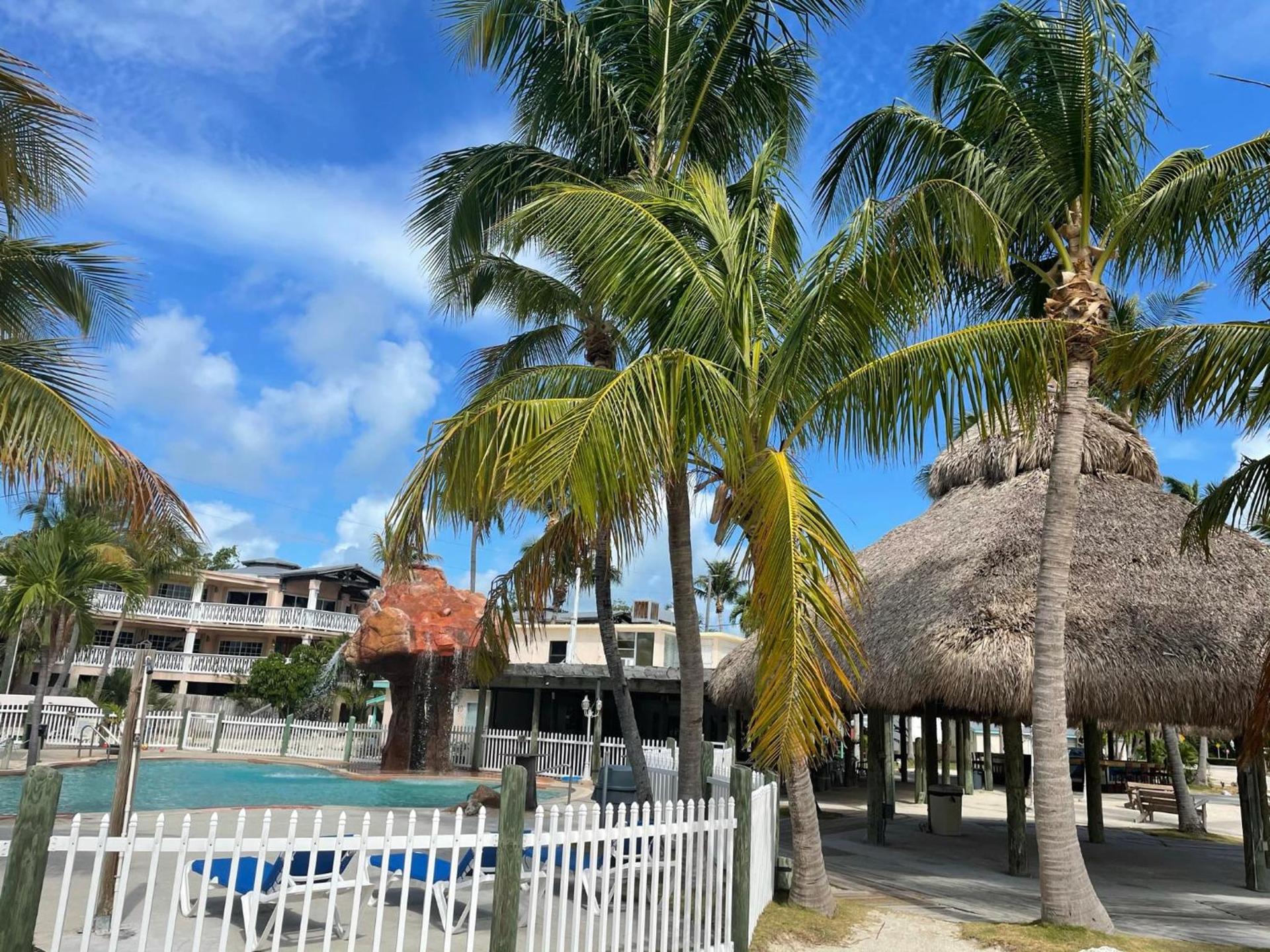 Coconut Cove Resort & Marina photo 63