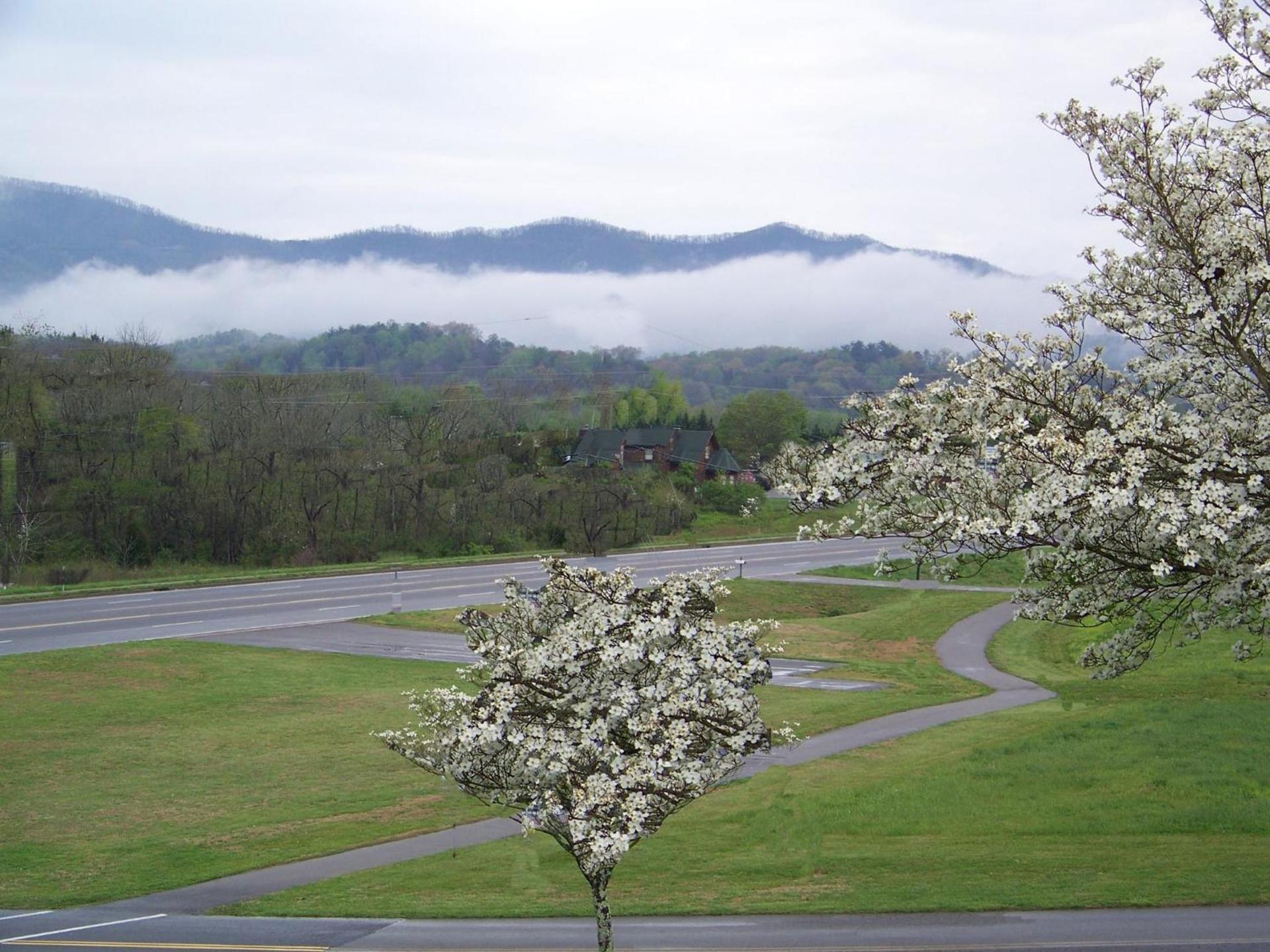 Highland Manor Inn photo 27