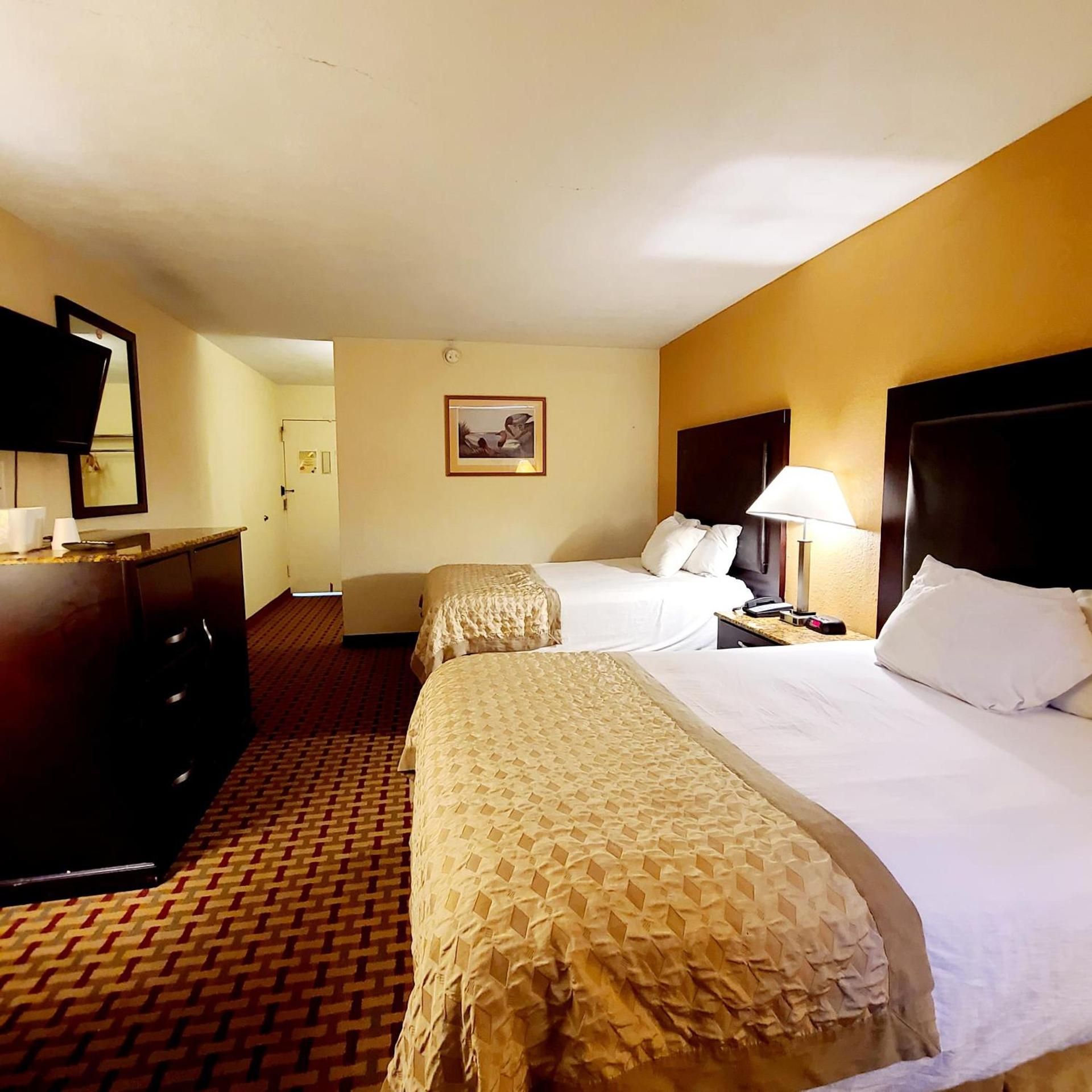 Town Inn photo 43