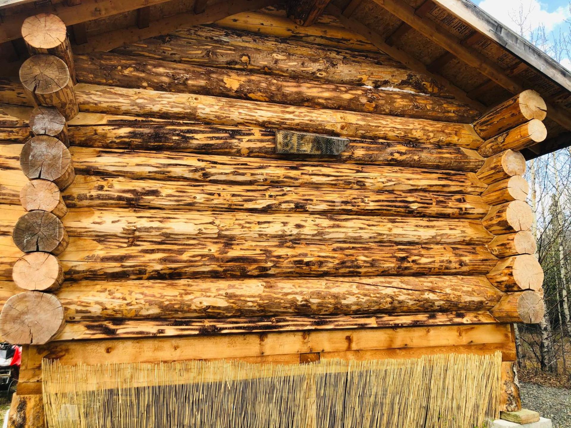 Wrangell Mountain Lodge- Private Bathroom with shower photo 17