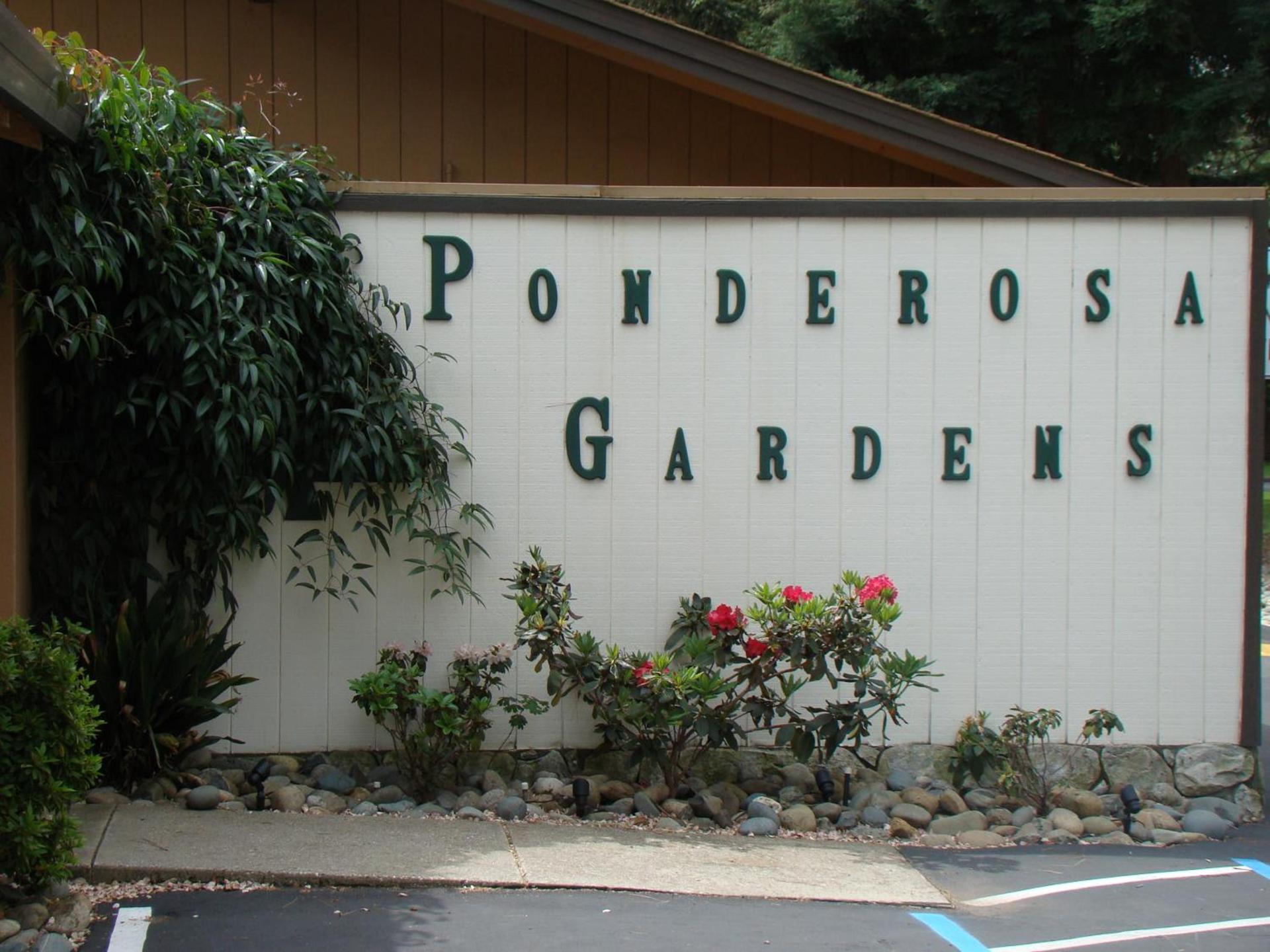 Ponderosa Gardens Motel photo 25