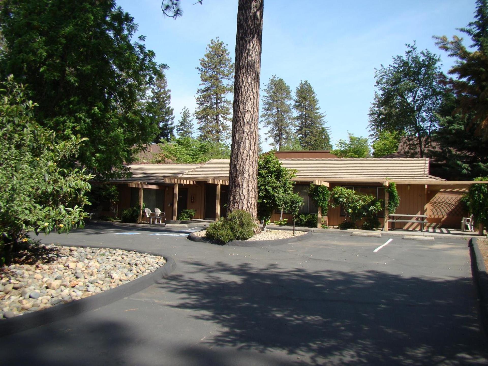 Ponderosa Gardens Motel photo 30