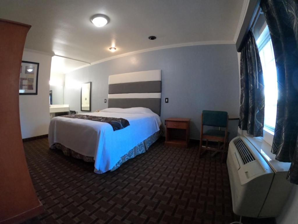 Hollywood Guest Inn photo 12