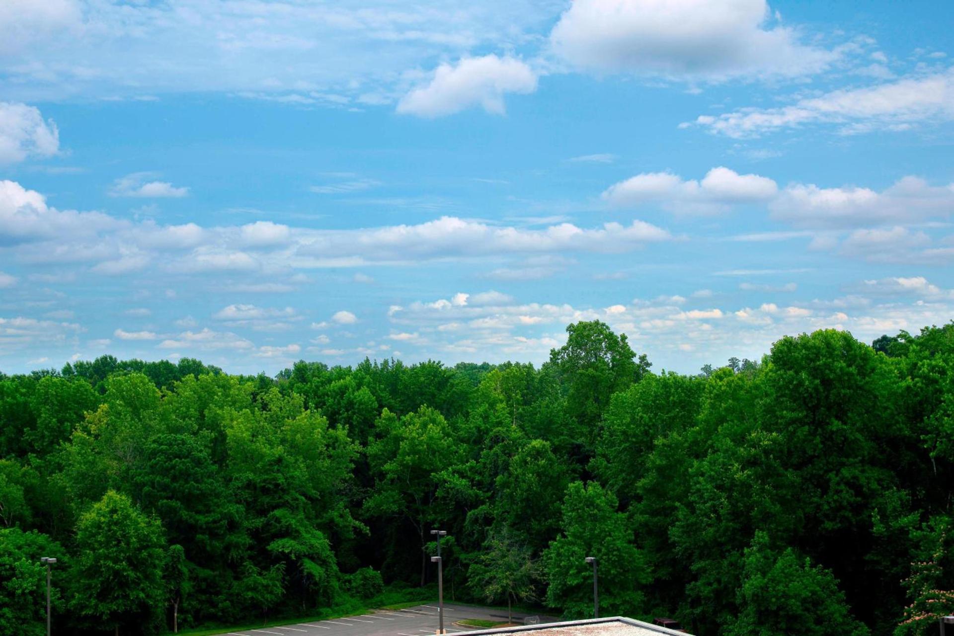 Sheraton Charlotte Airport photo 12
