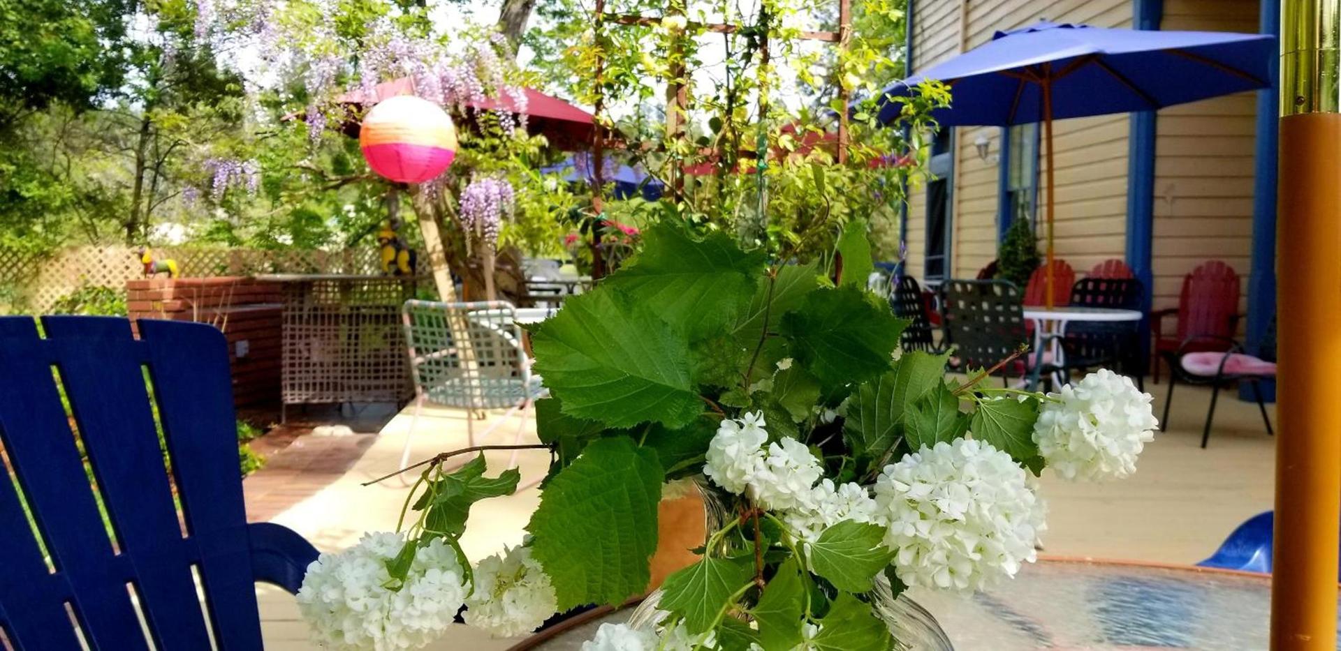 American River Inn photo 2