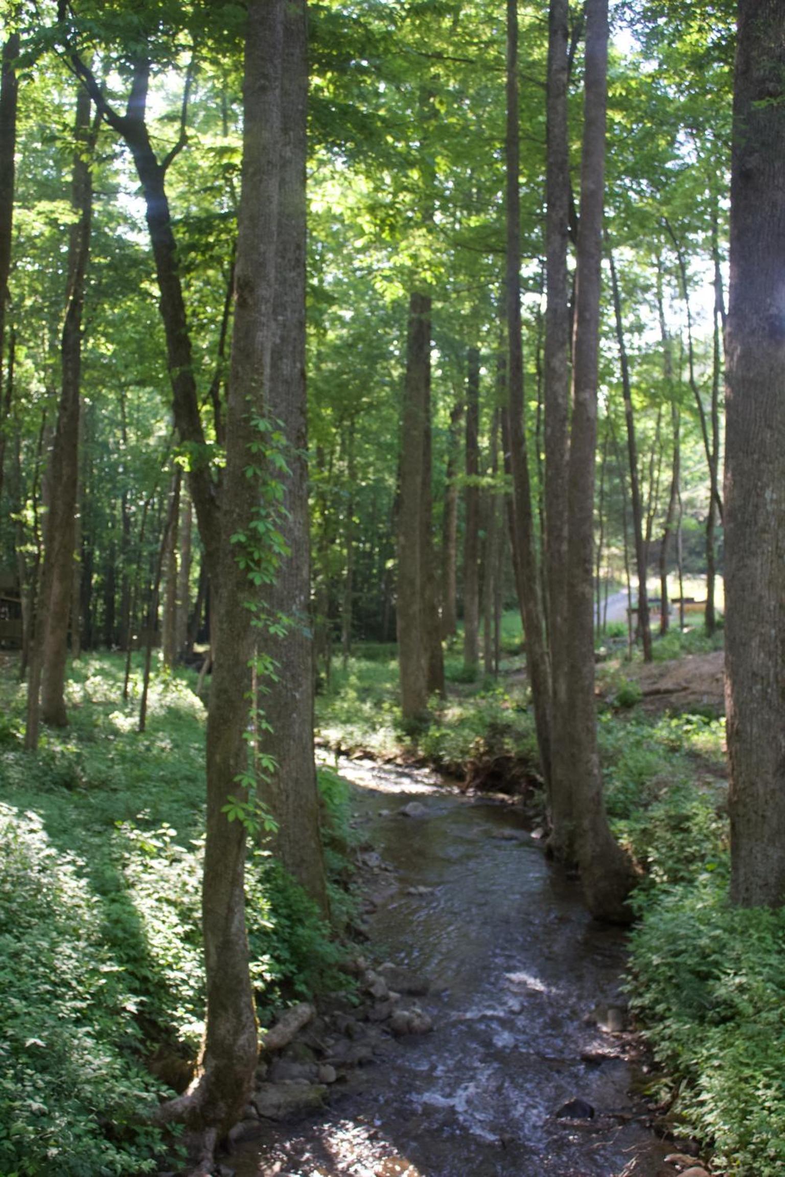 Villas at Gingershack Farms photo 56