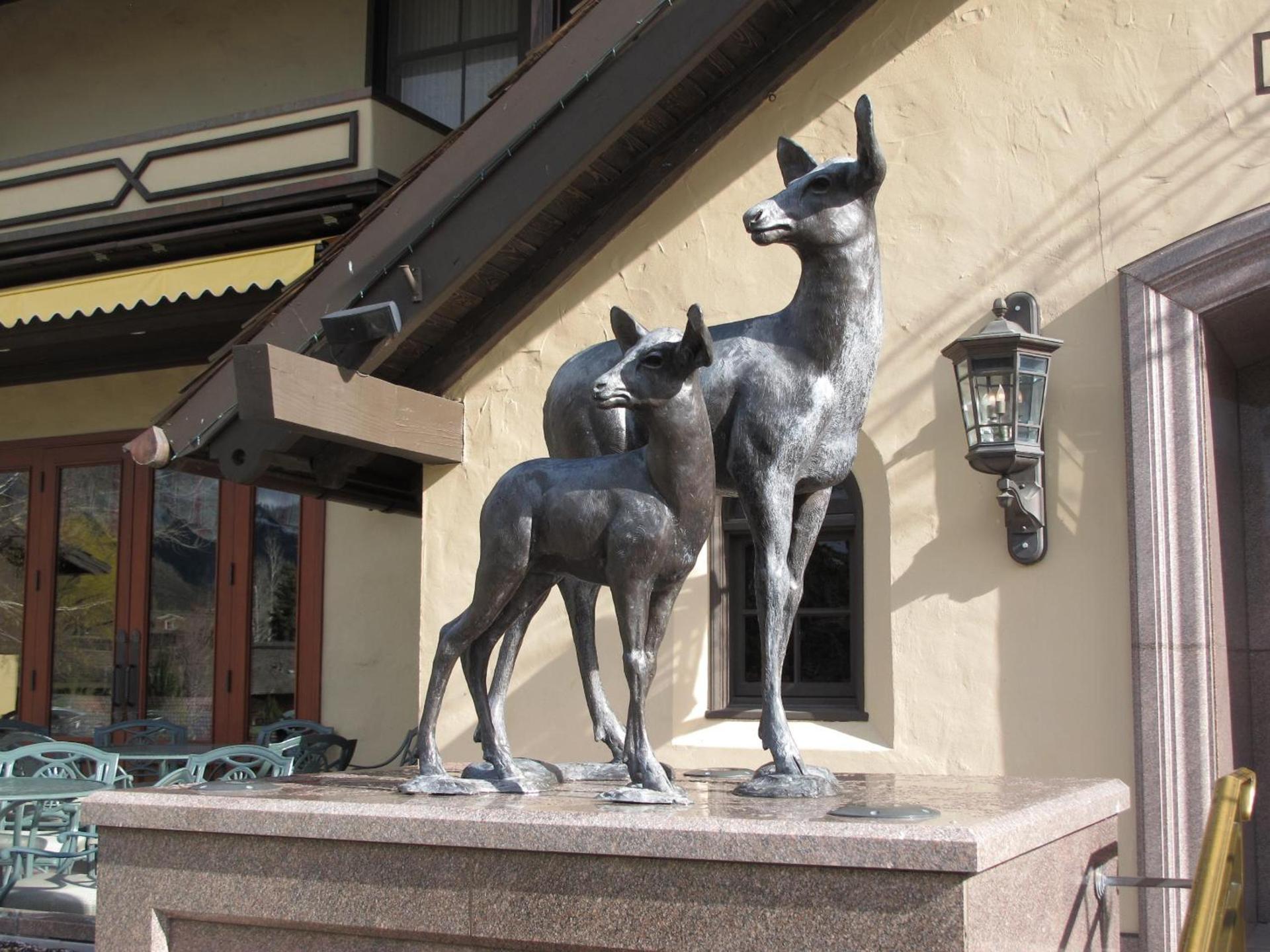 Sun Valley Resort photo 33