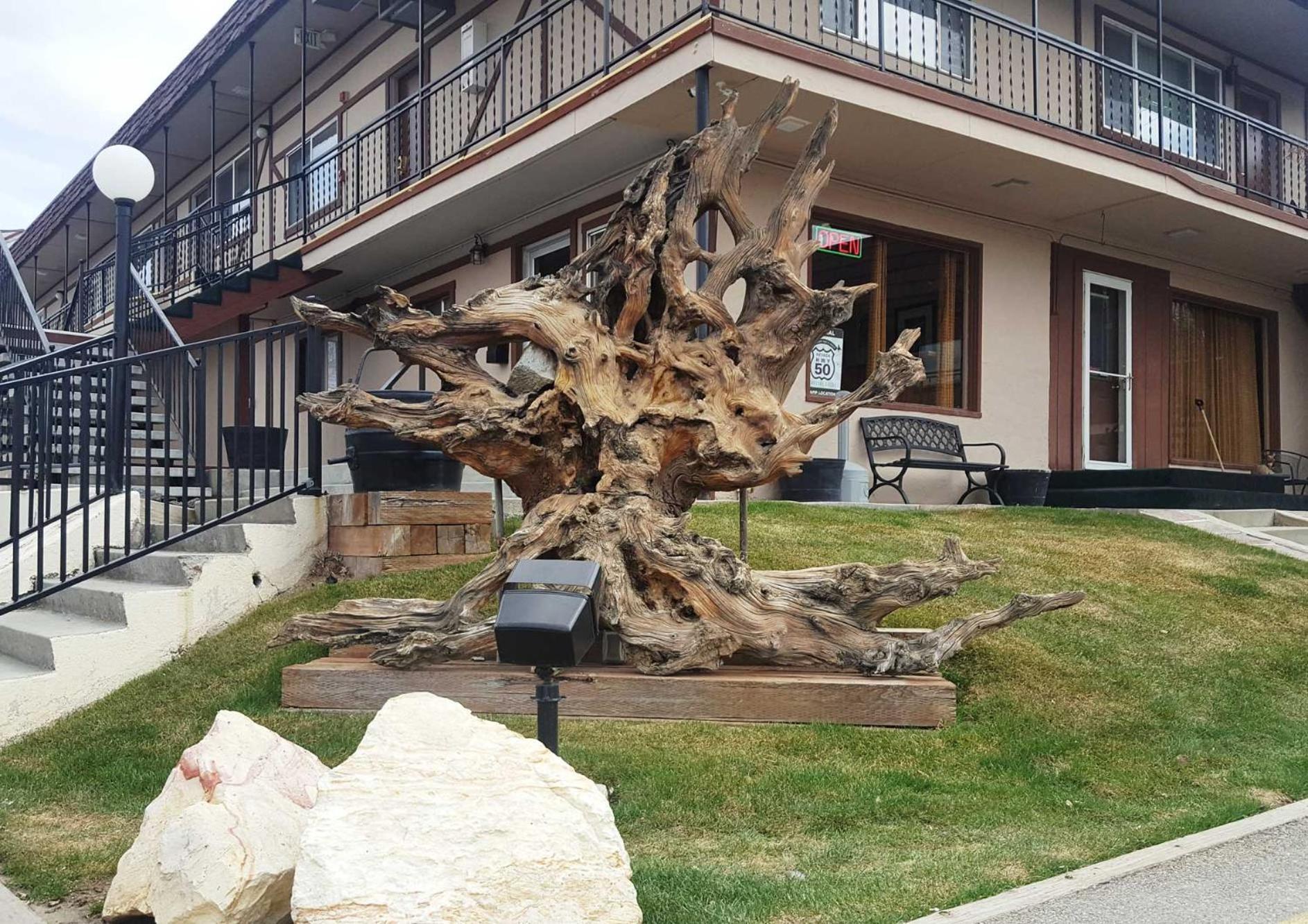 Bristlecone Motel photo 8