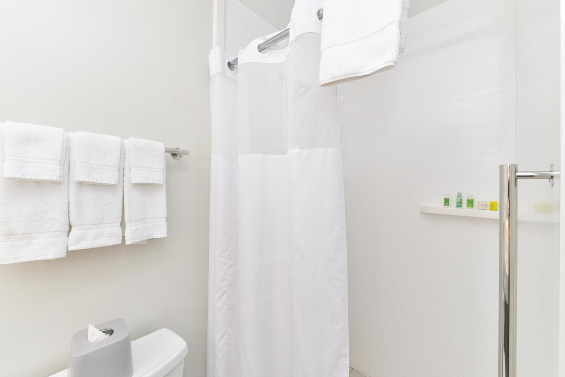 Holiday Inn Express New Orleans - Arts District by IHG photo 15