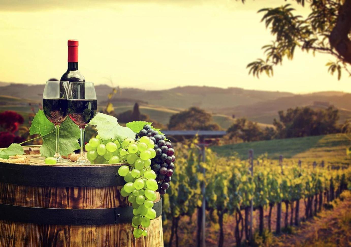 Balloons and Wine photo 67