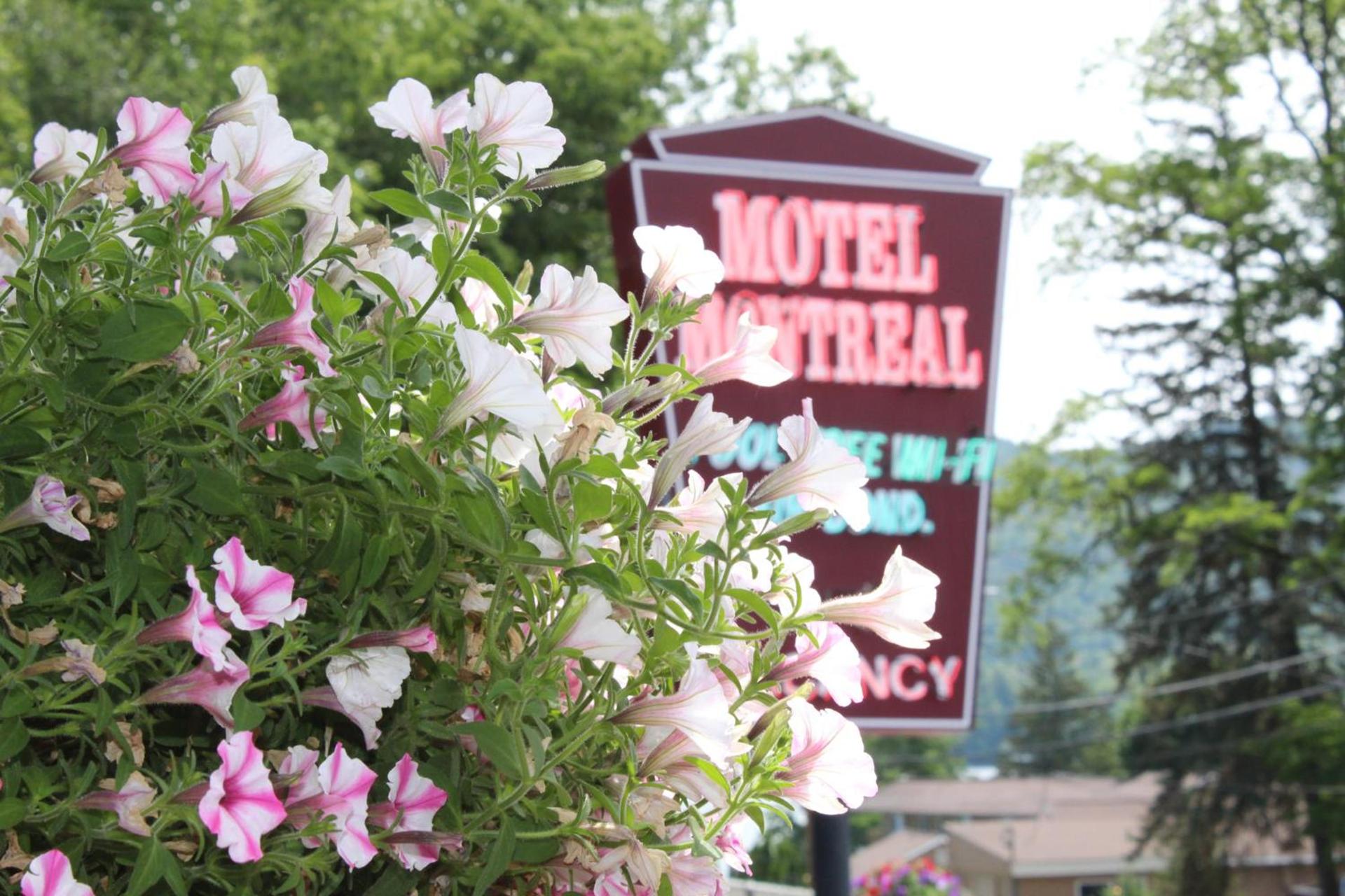 Motel Montreal photo 14