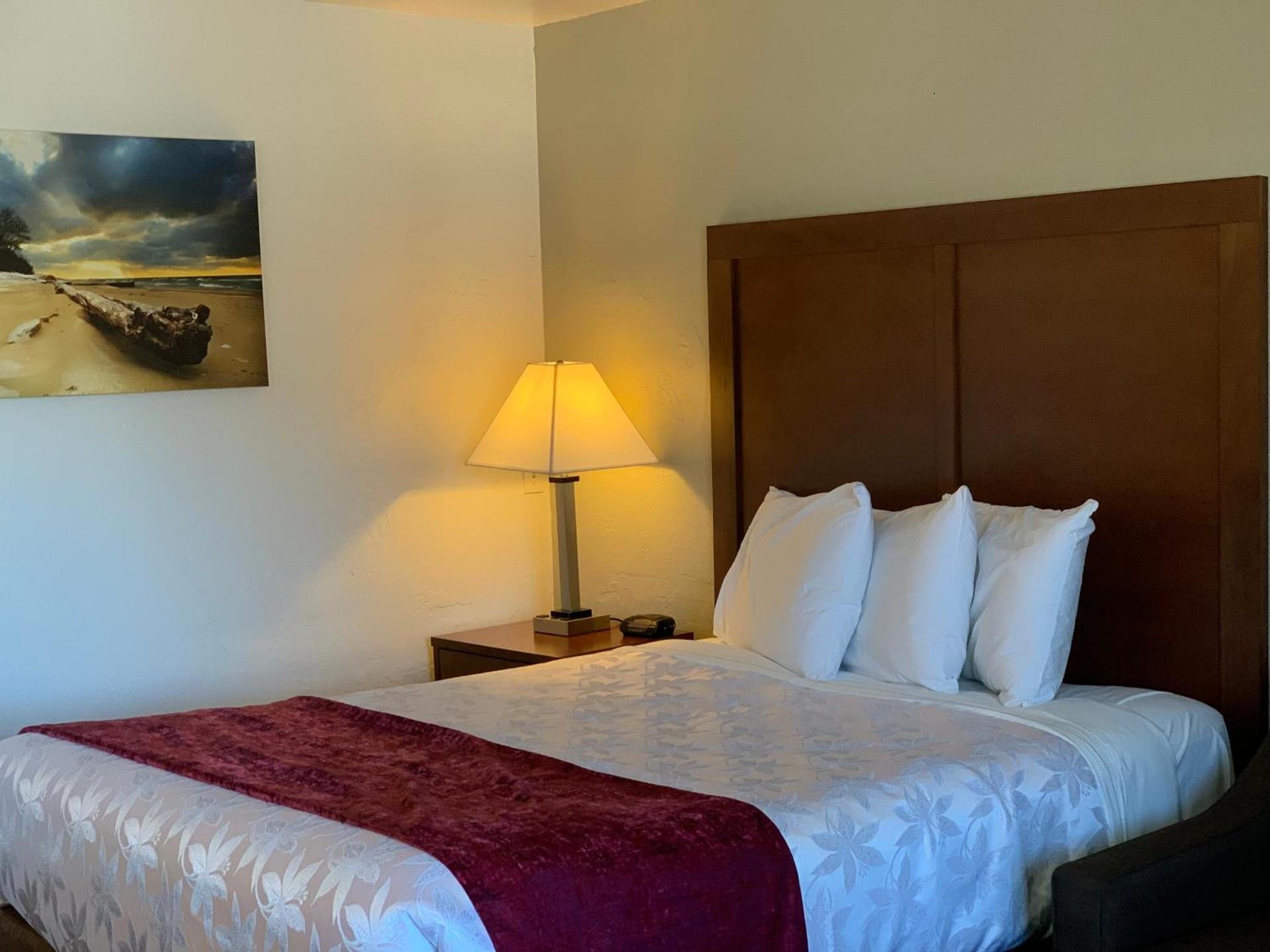Red Carpet Inn Medford photo 15