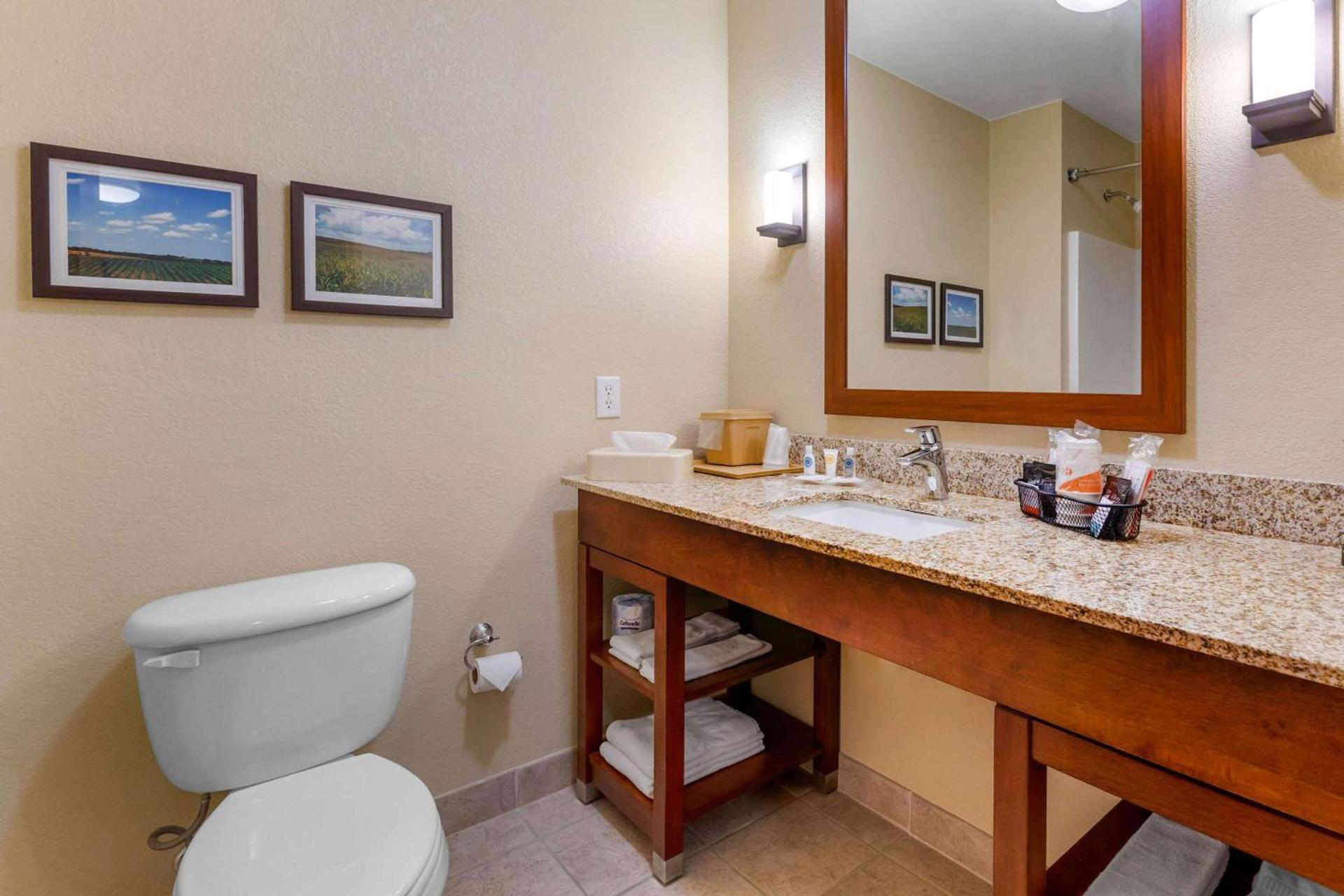 Comfort Suites Burlington photo 24