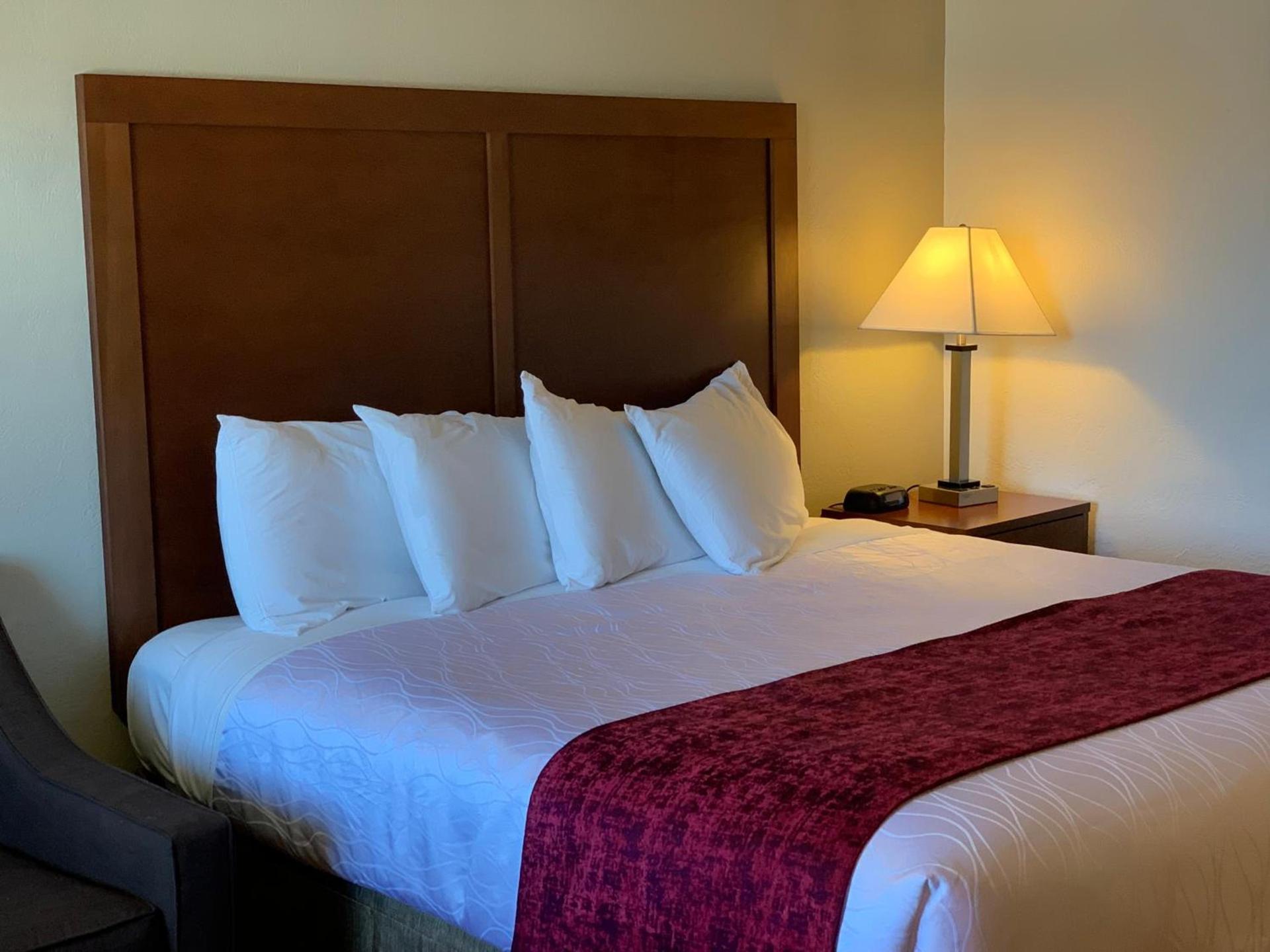 Red Carpet Inn Medford photo 19
