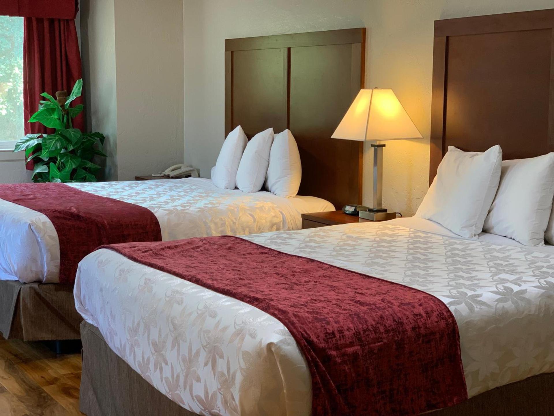 Red Carpet Inn Medford photo 29