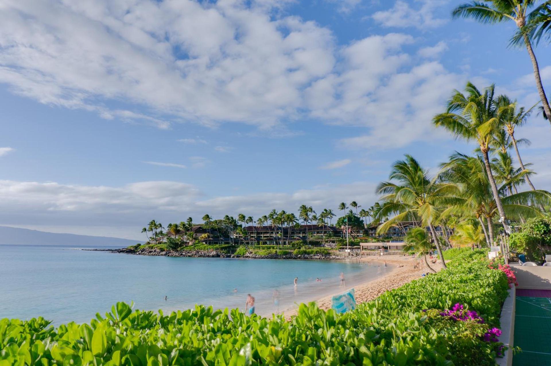 Hale Napili photo 49