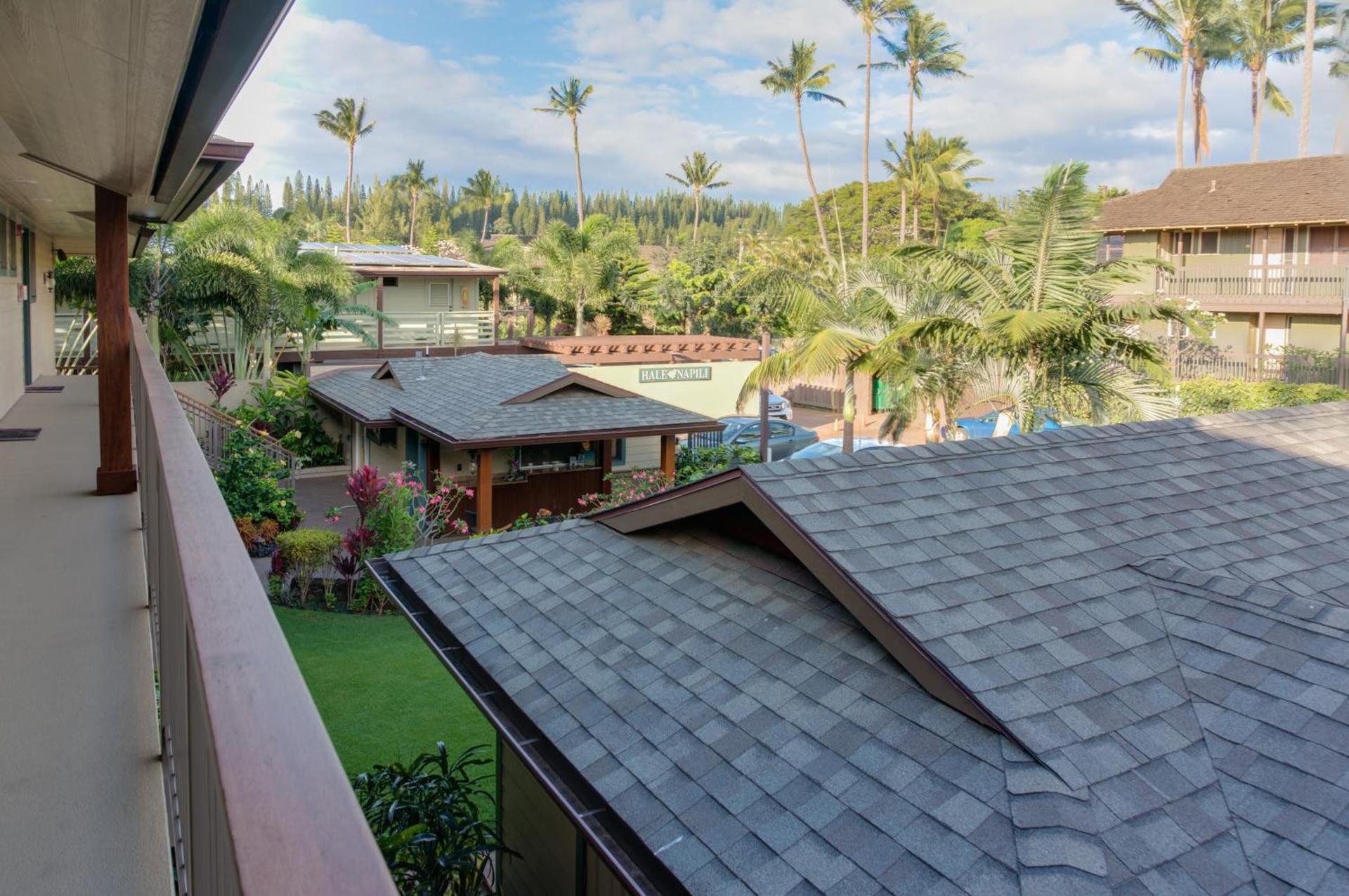 Hale Napili photo 20