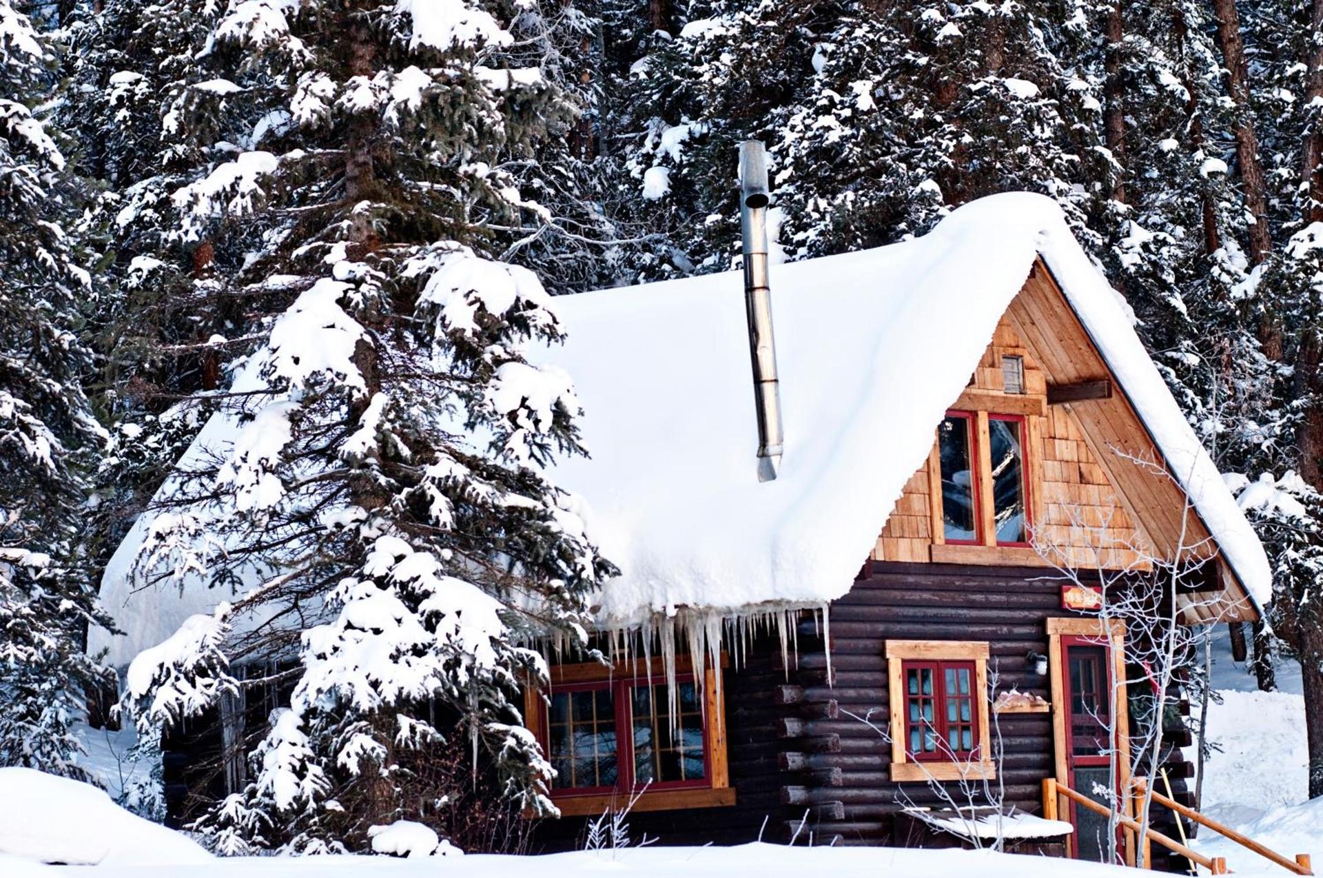 Pioneer Guest Cabins photo 7