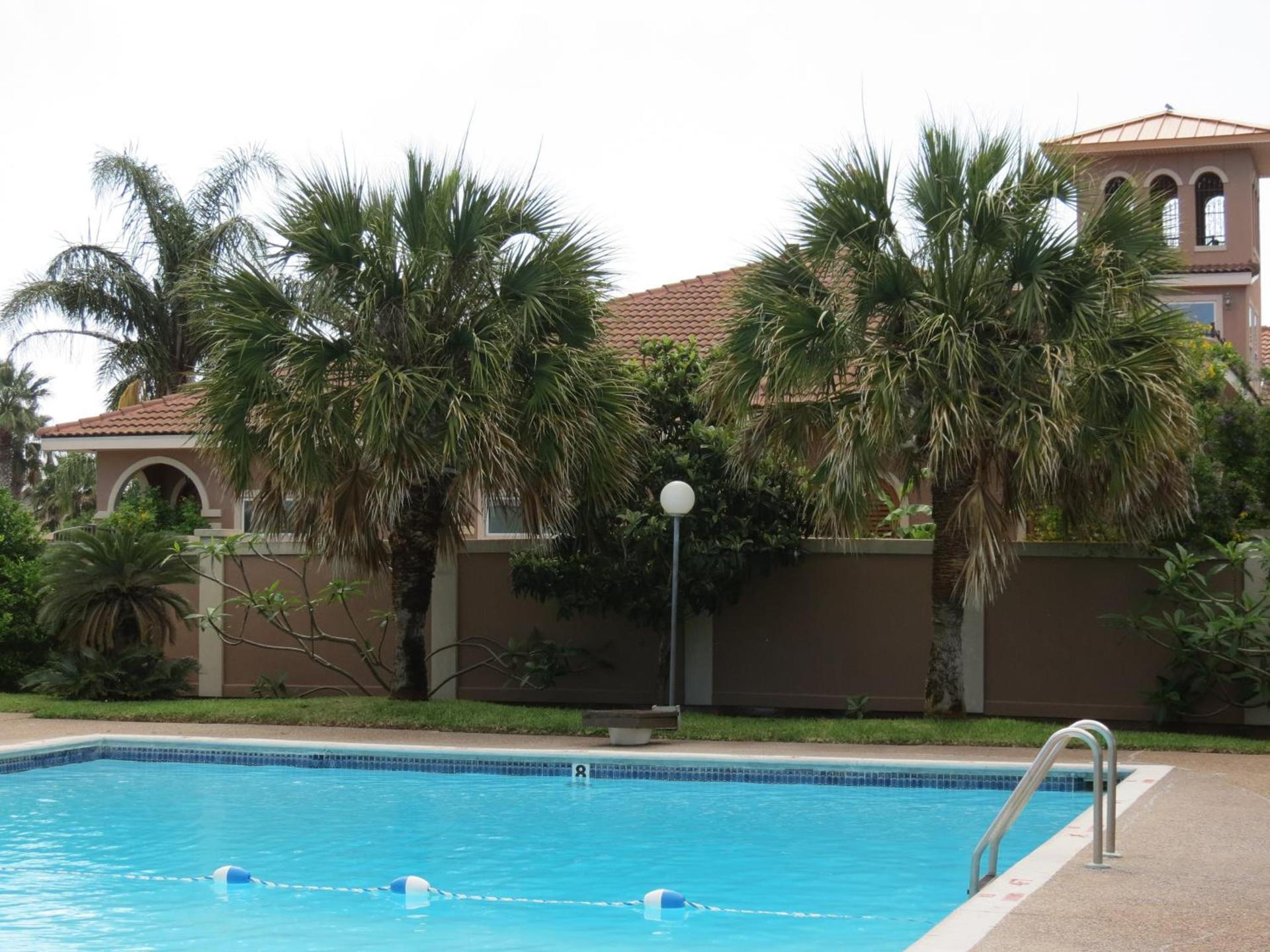 Multi Resorts at Puente Vista photo 3