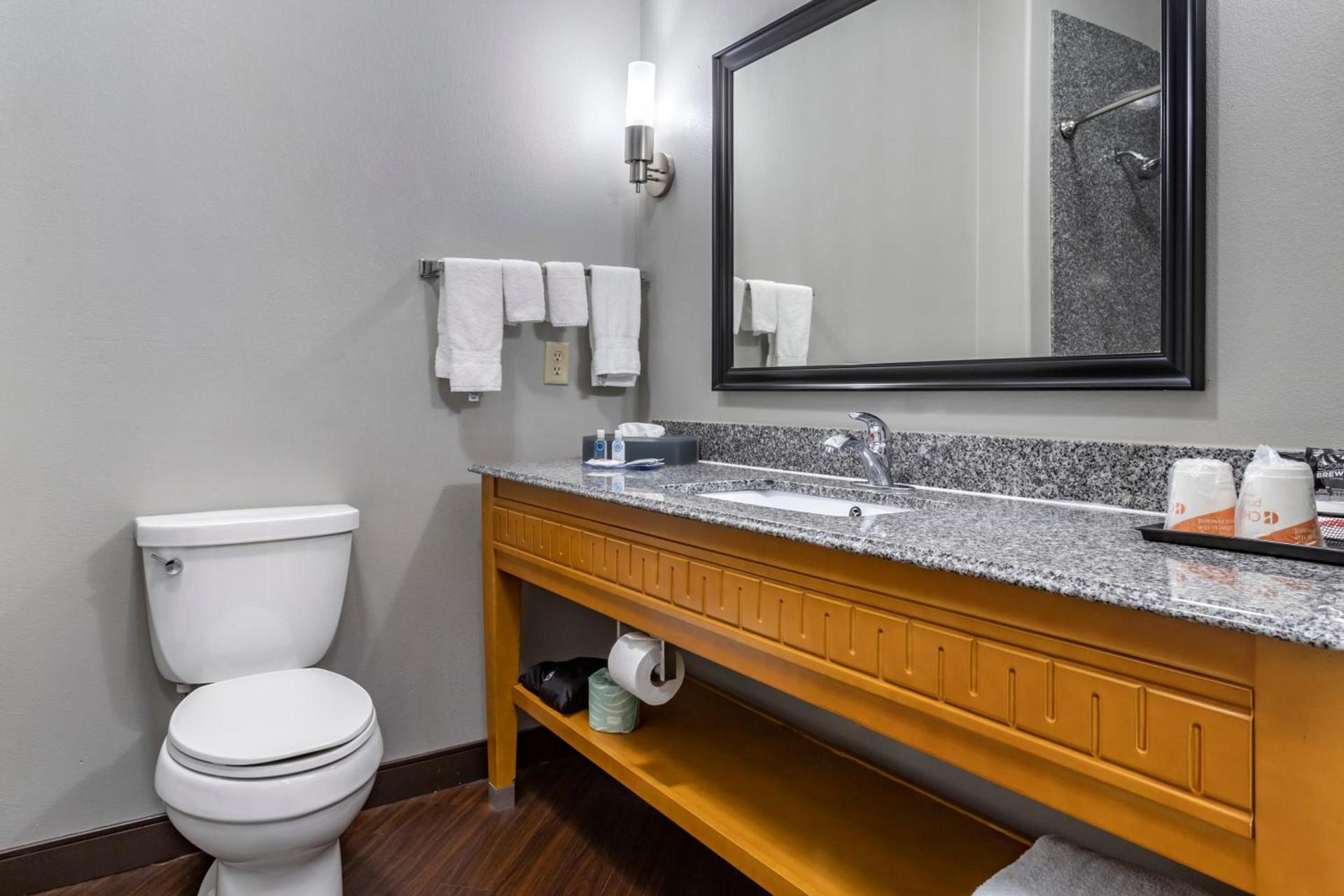 Comfort Inn & Suites Cleveland TX photo 44