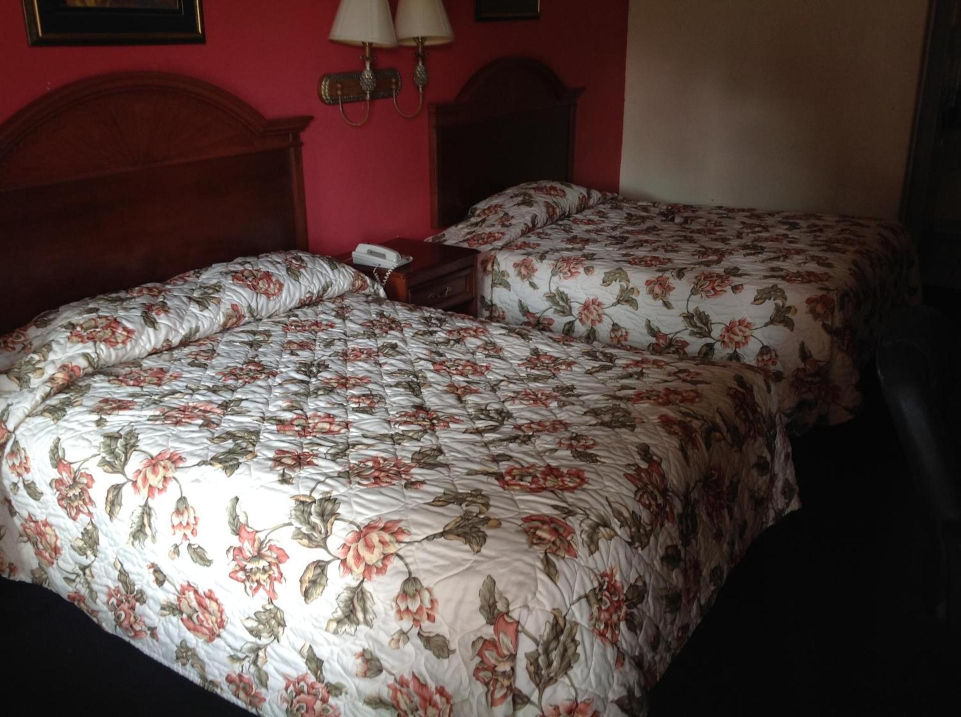 Executive Inn & Suites photo 4