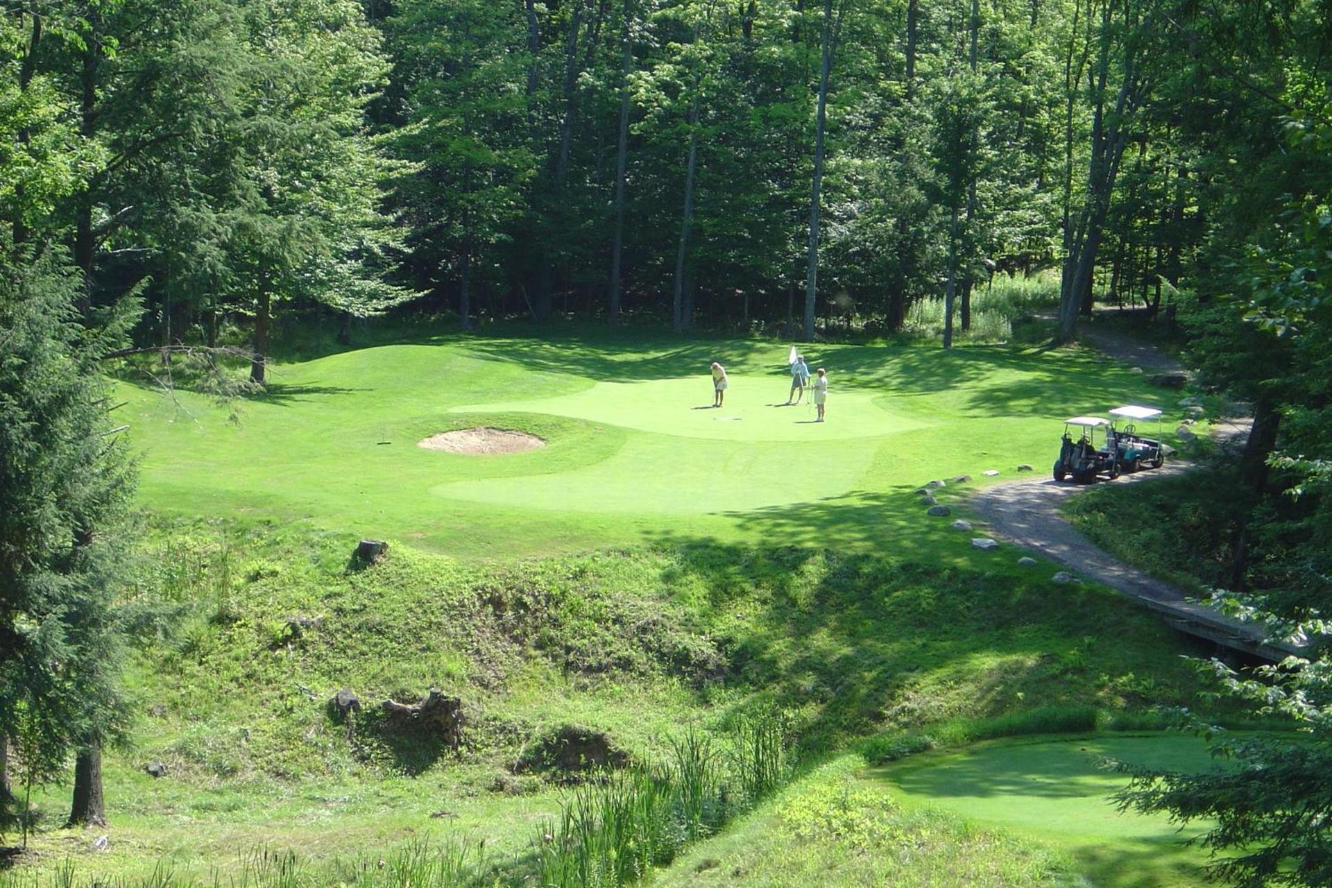 Caberfae Peaks Ski & Golf Resort photo 22