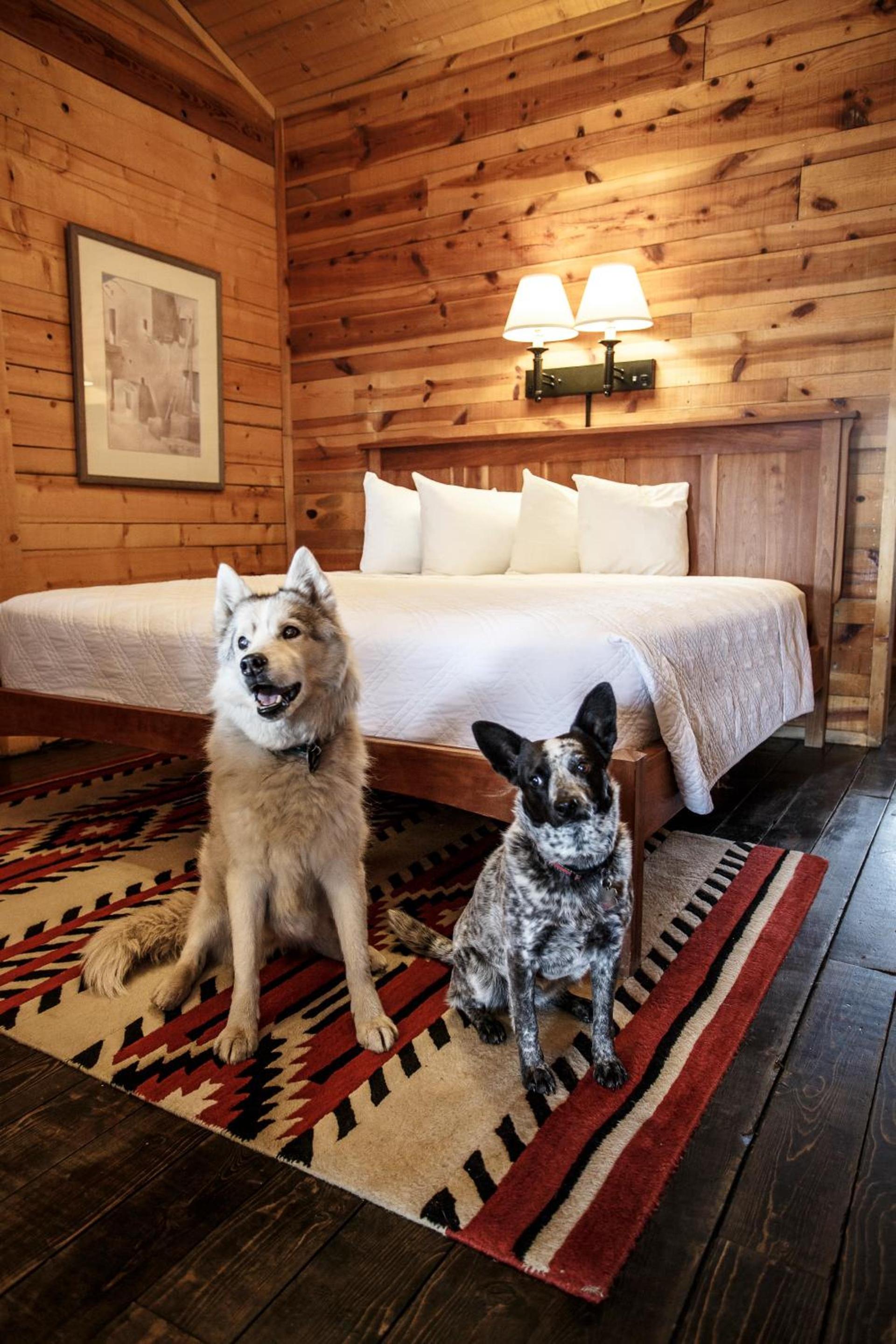 Chama Trails Motel photo 6
