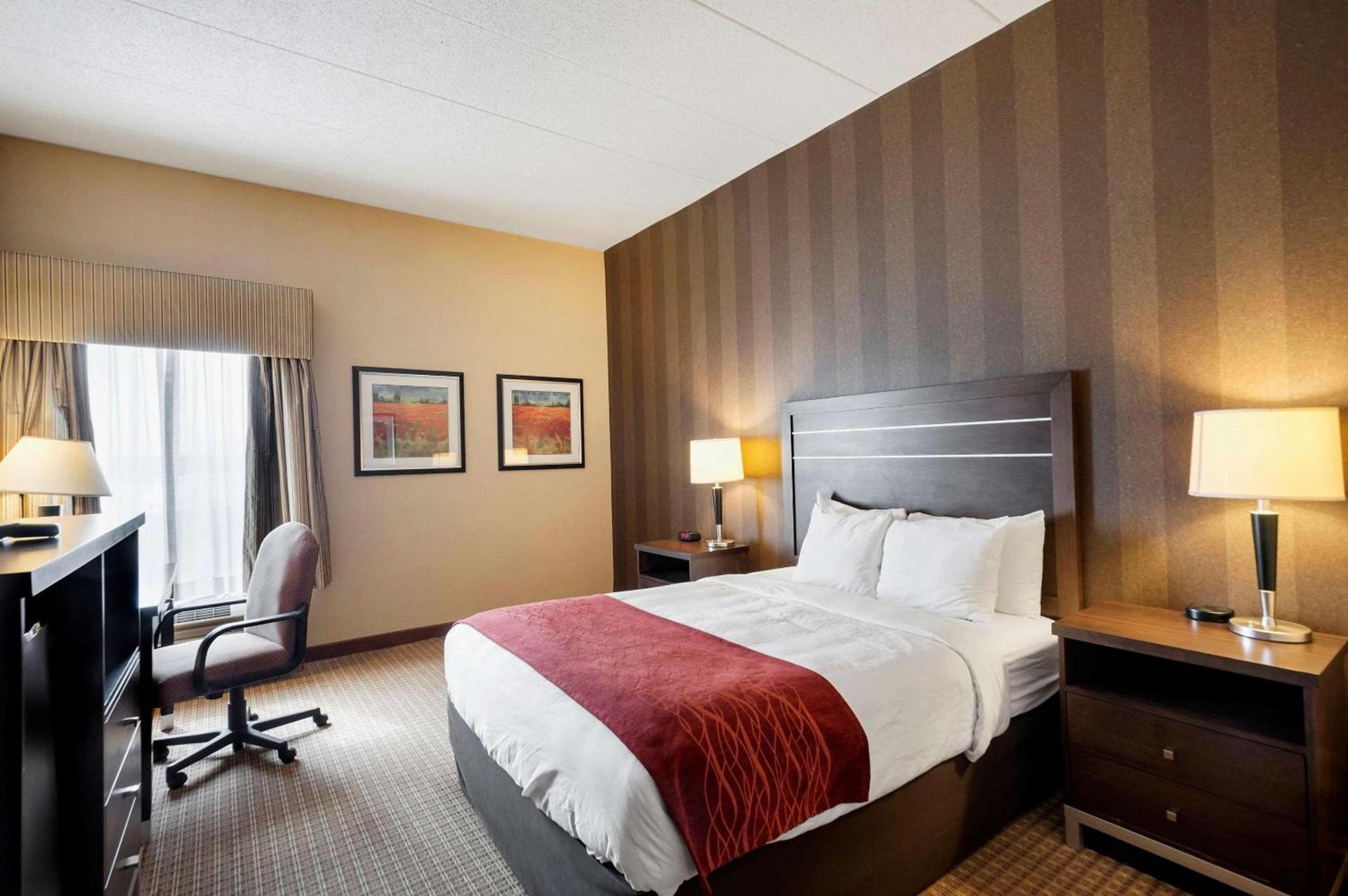 Quality Inn & Suites Bel Air I-95 Exit 77A photo 15