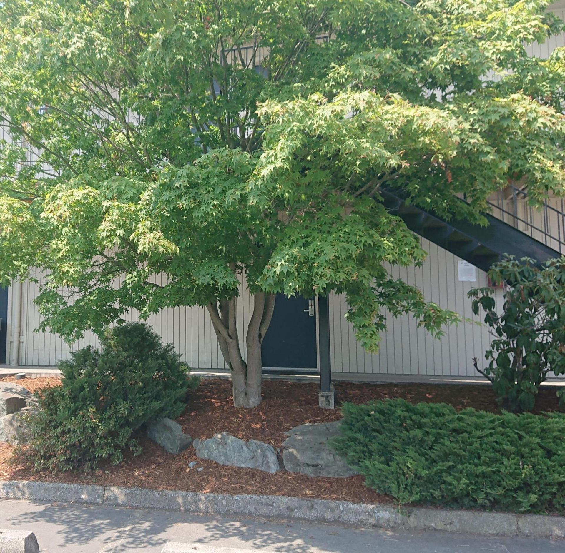 Cocusa Motel photo 10