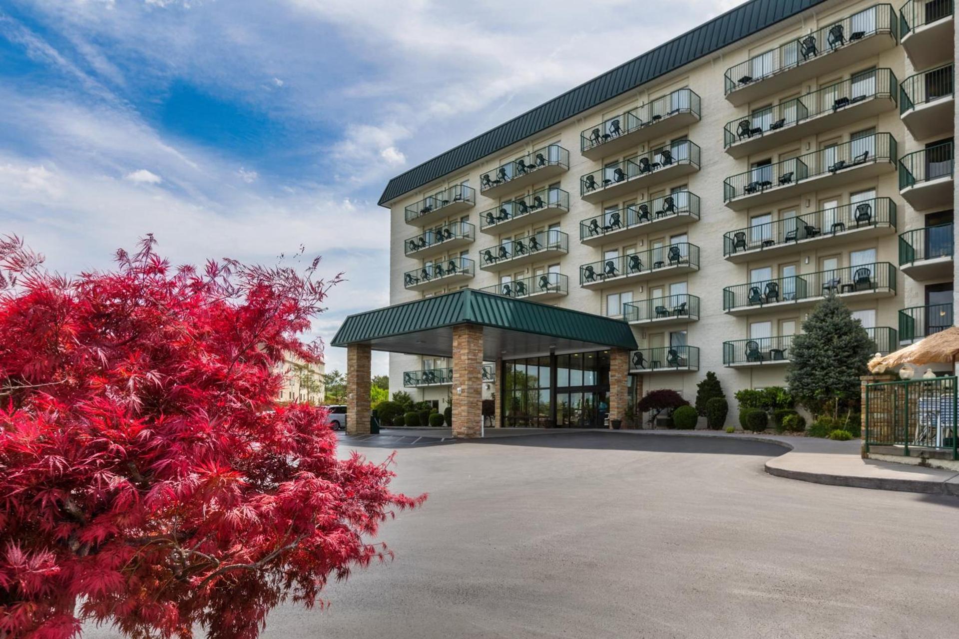 Park Grove Inn photo 4