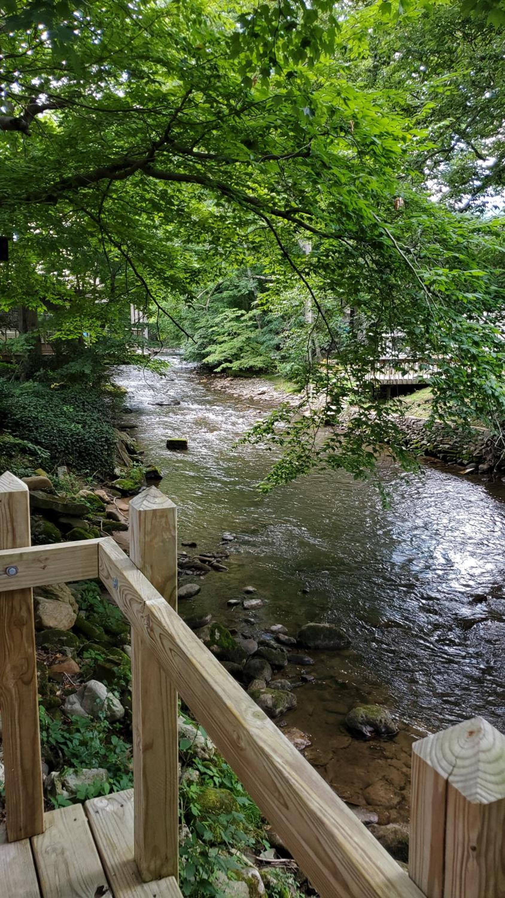 Cozy Creek Cottages photo 20