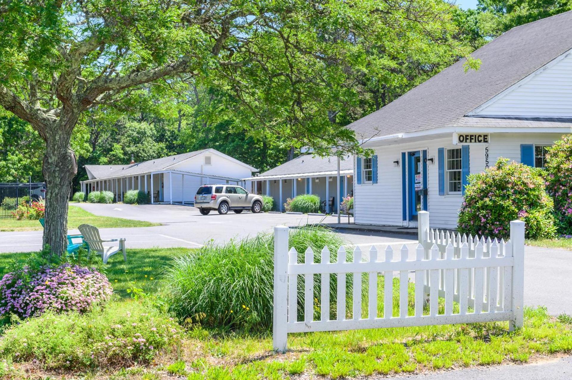 Blue Dolphin Inn photo 24