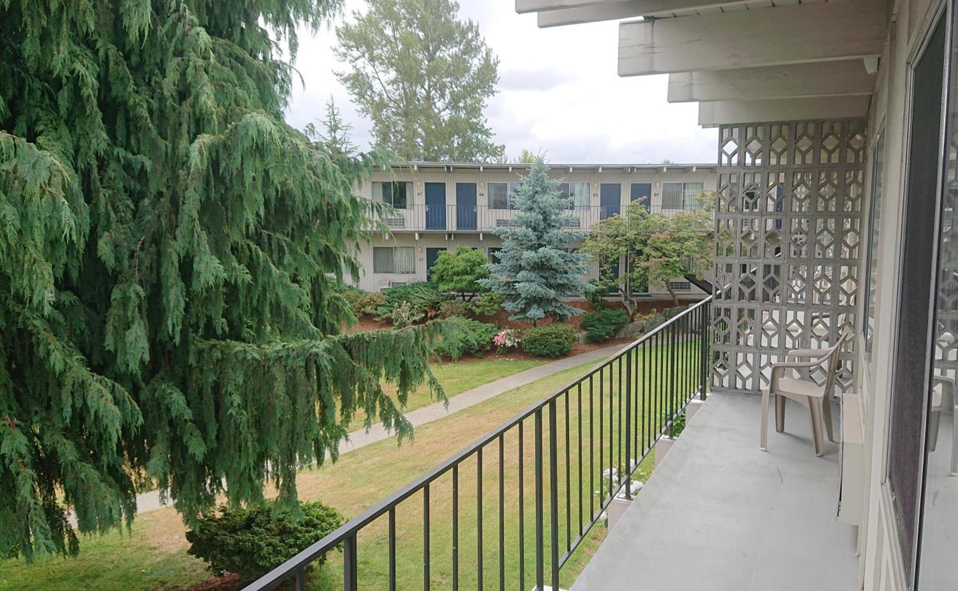 Cocusa Motel photo 17